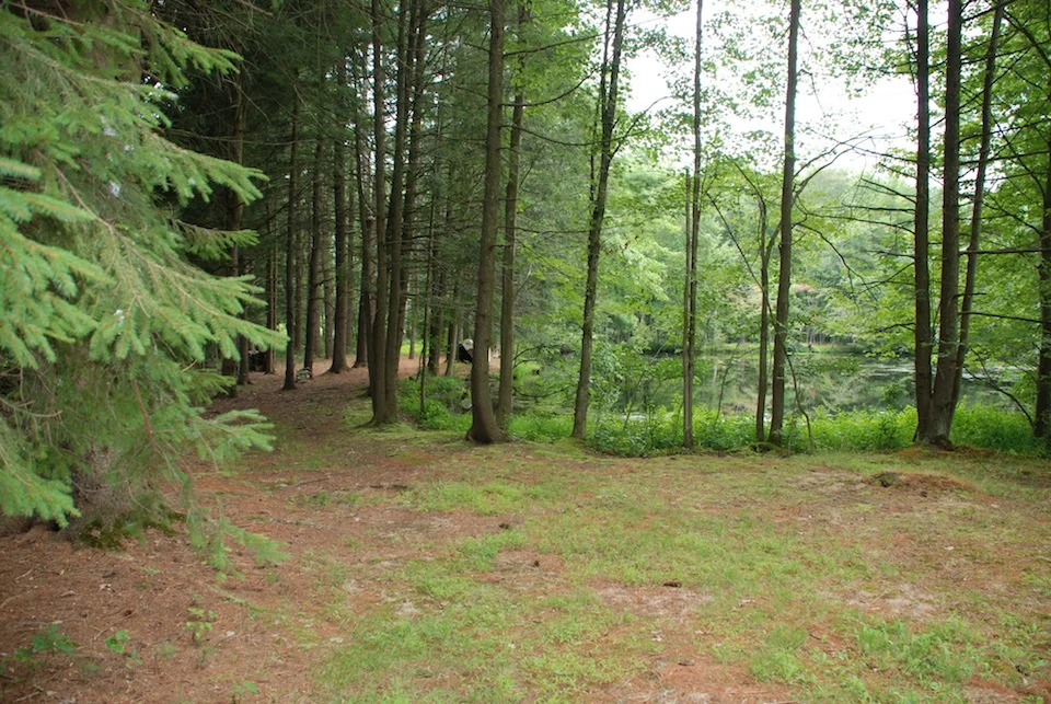 14Lower Pond Pathway.JPG