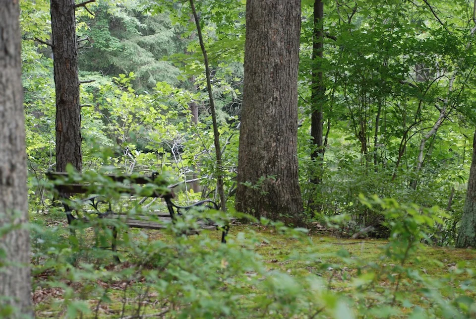 15aLower Pond Bench.JPG