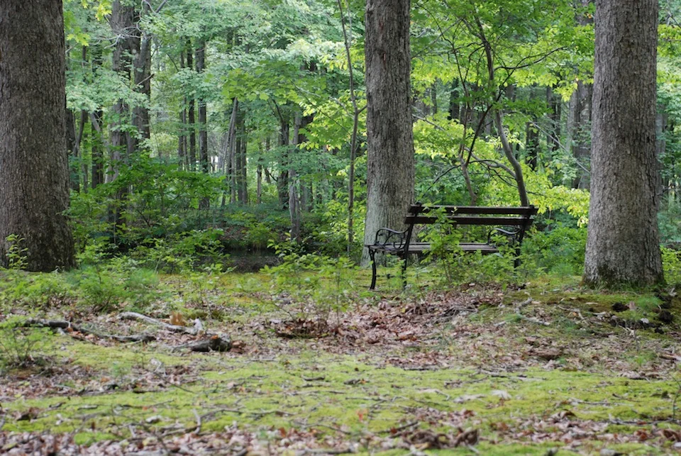 15Lower Pond Bench 2.JPG