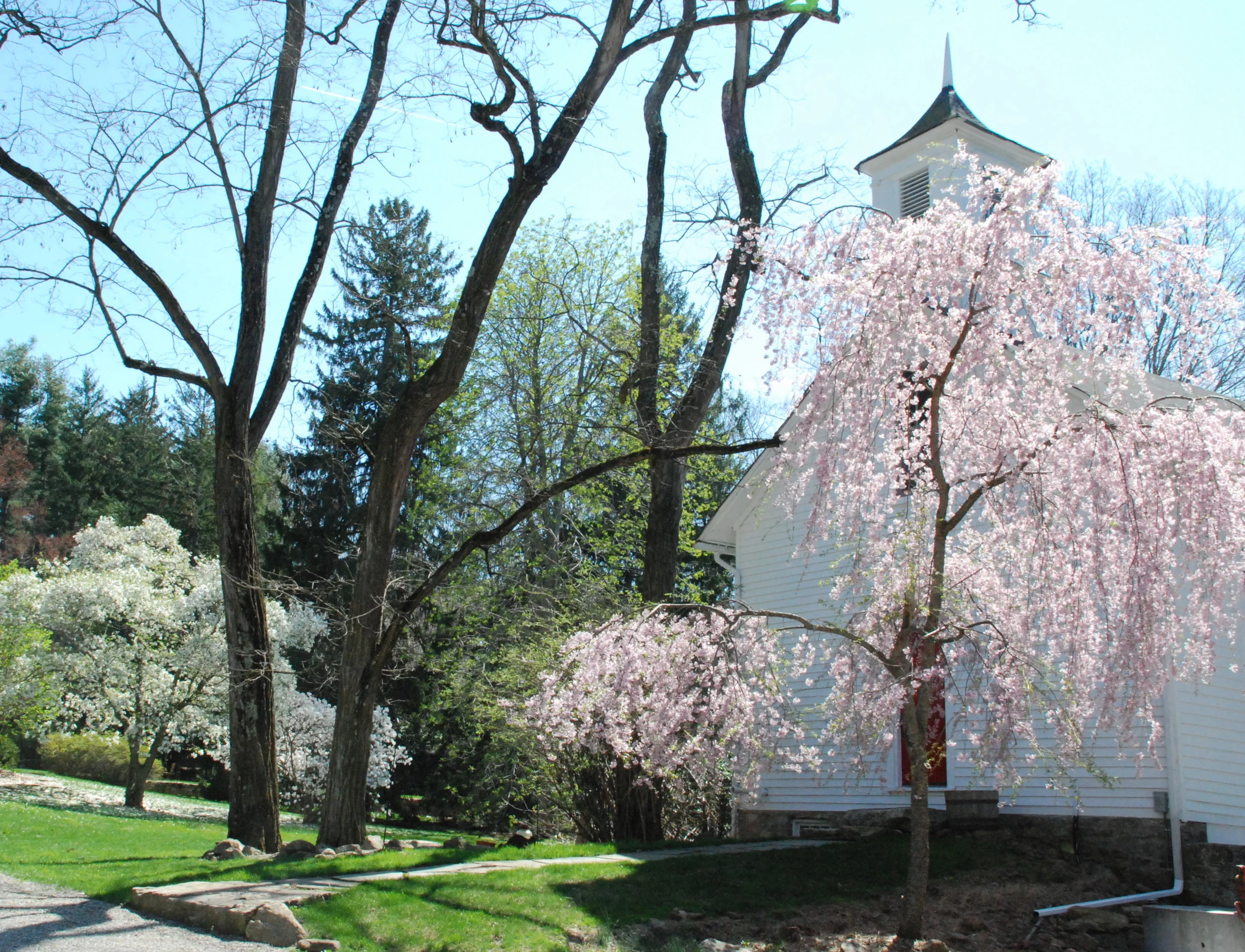 1Schoolhouse Spring.JPG
