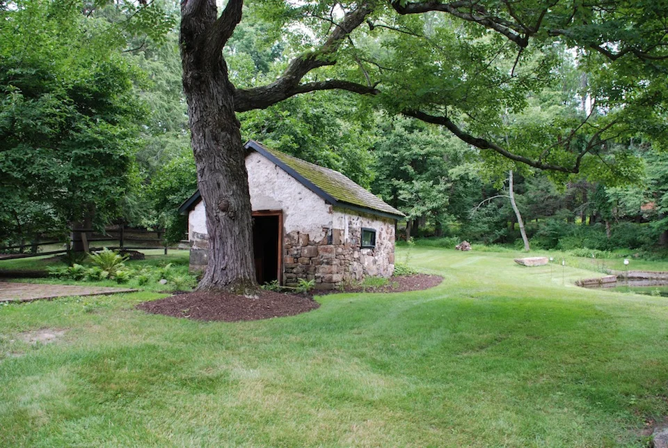 7Springhouse:Upper Pond.JPG