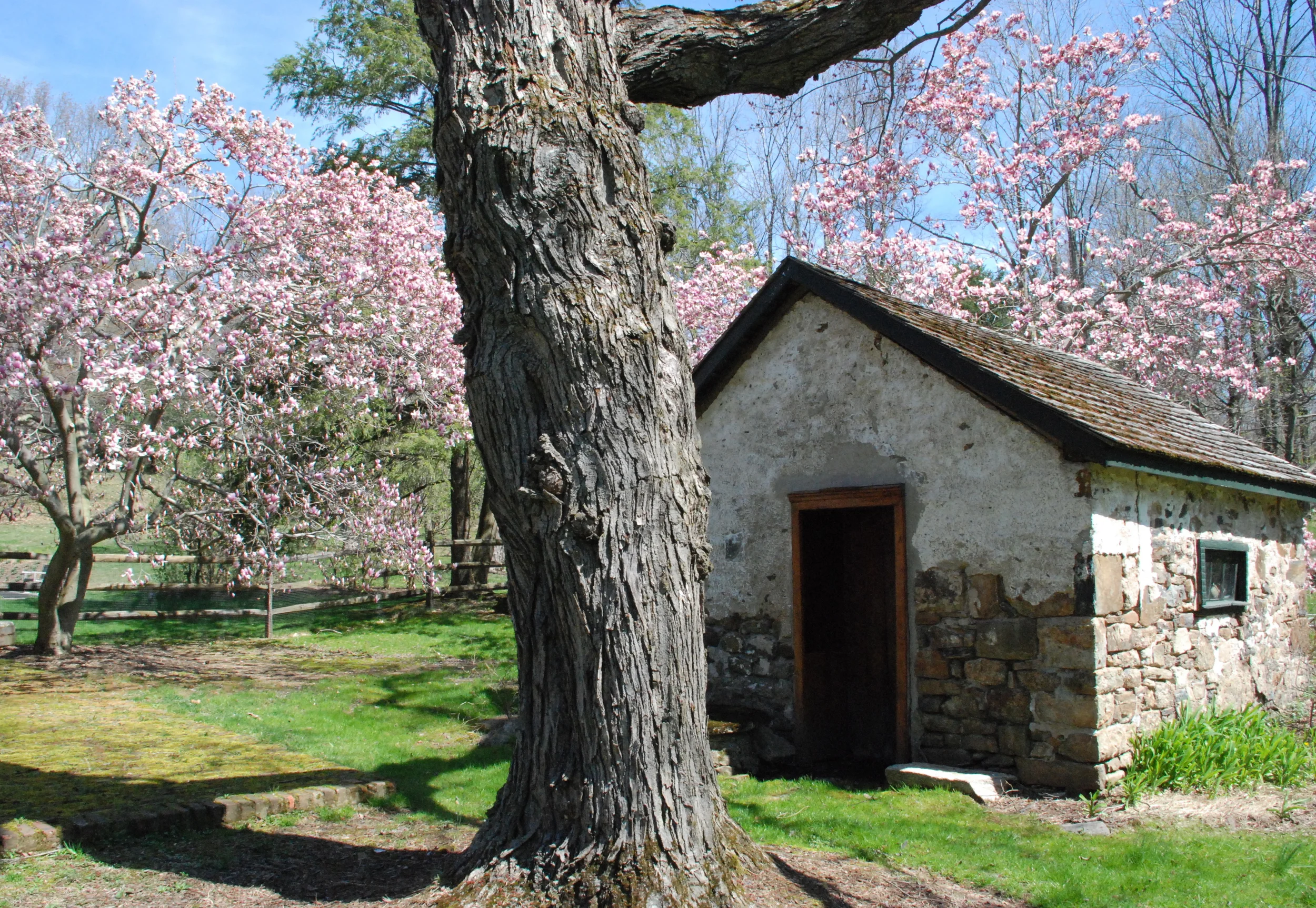 4Springhouse Spring.JPG