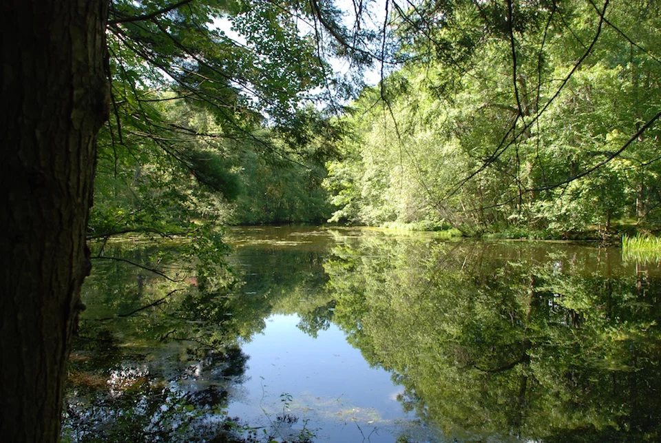 *Lower Pond2.JPG