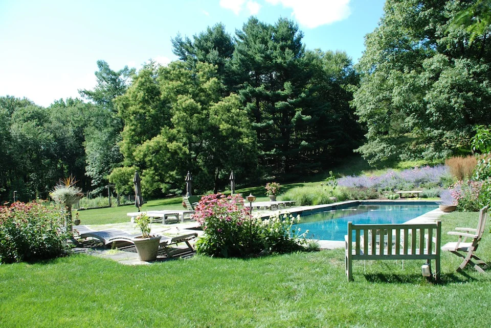 2 Pool:back.JPG