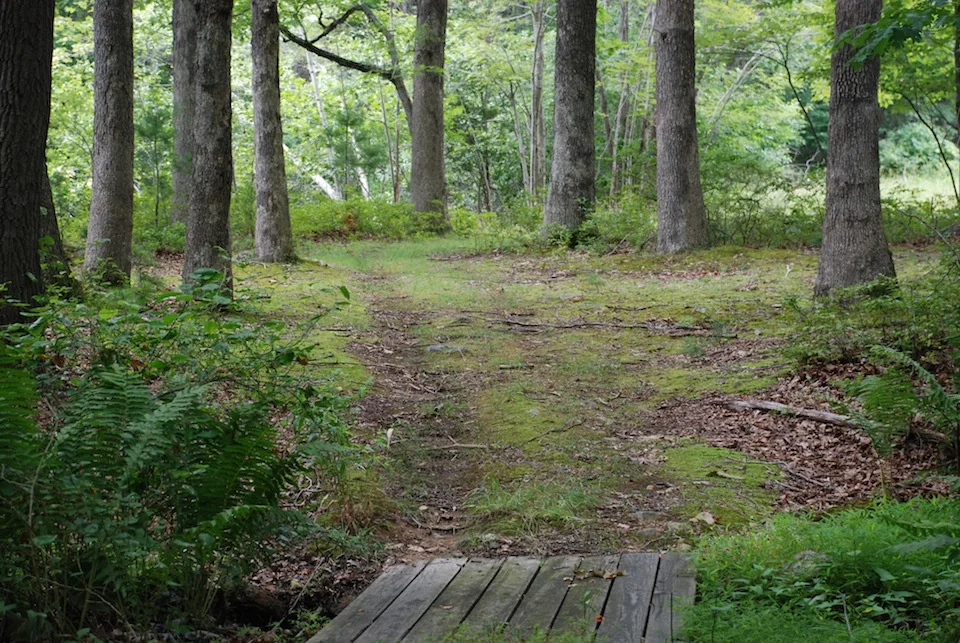 16Lower Pond Pathway to Fields.JPG