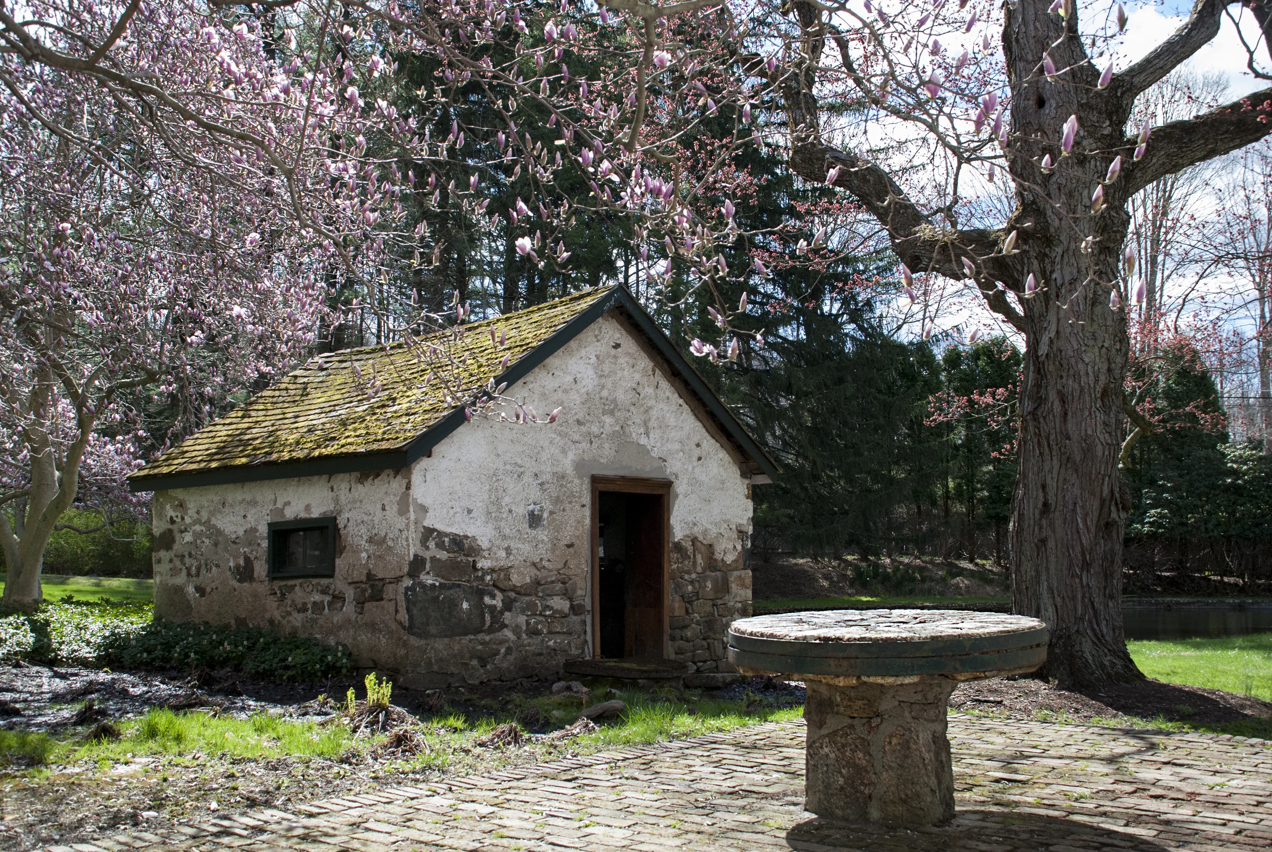 2015-04-24 10.08.57.jpg