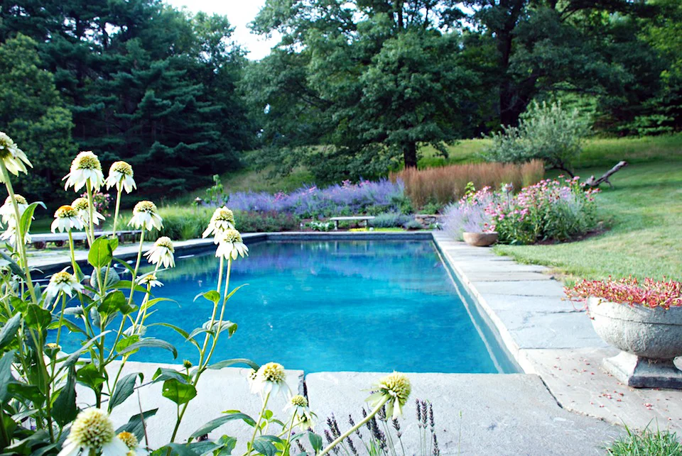 Pool 3 (Edit).jpg
