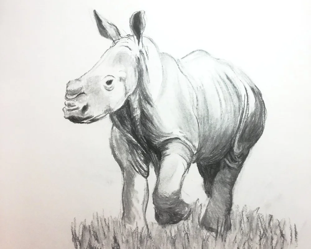 Baby+Rhino+horz.jpg