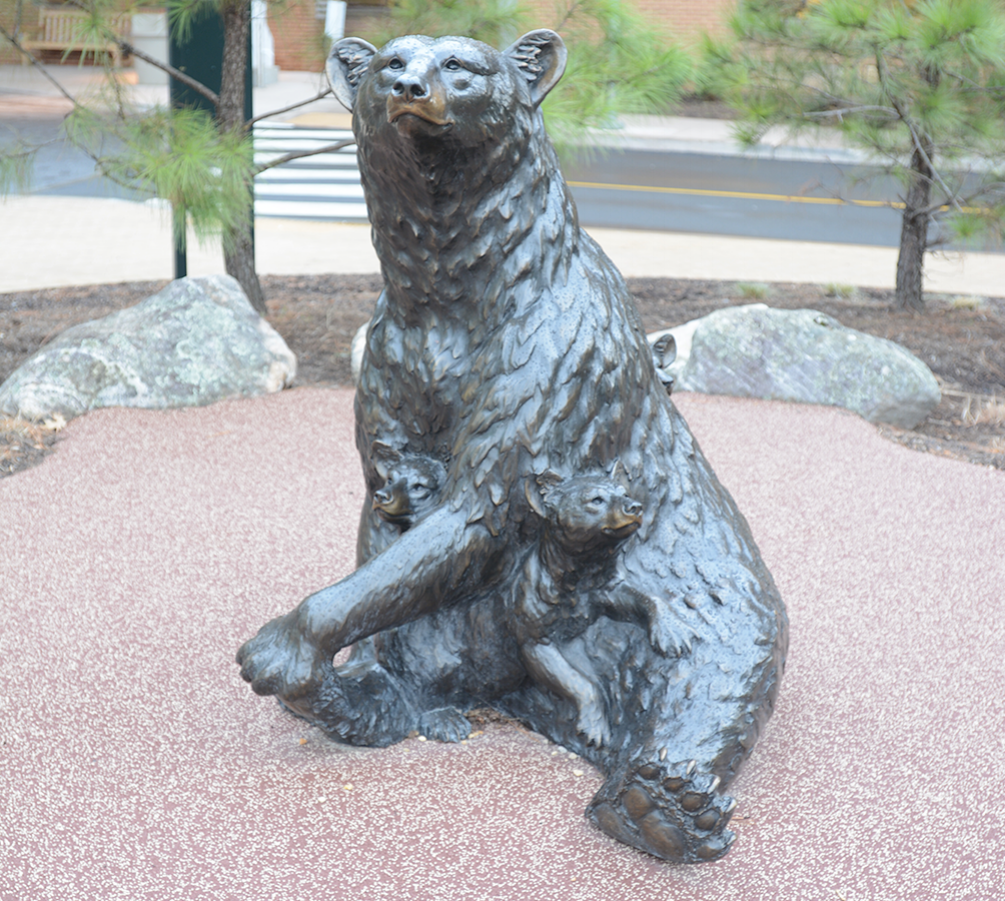 black bear cubs horz.png