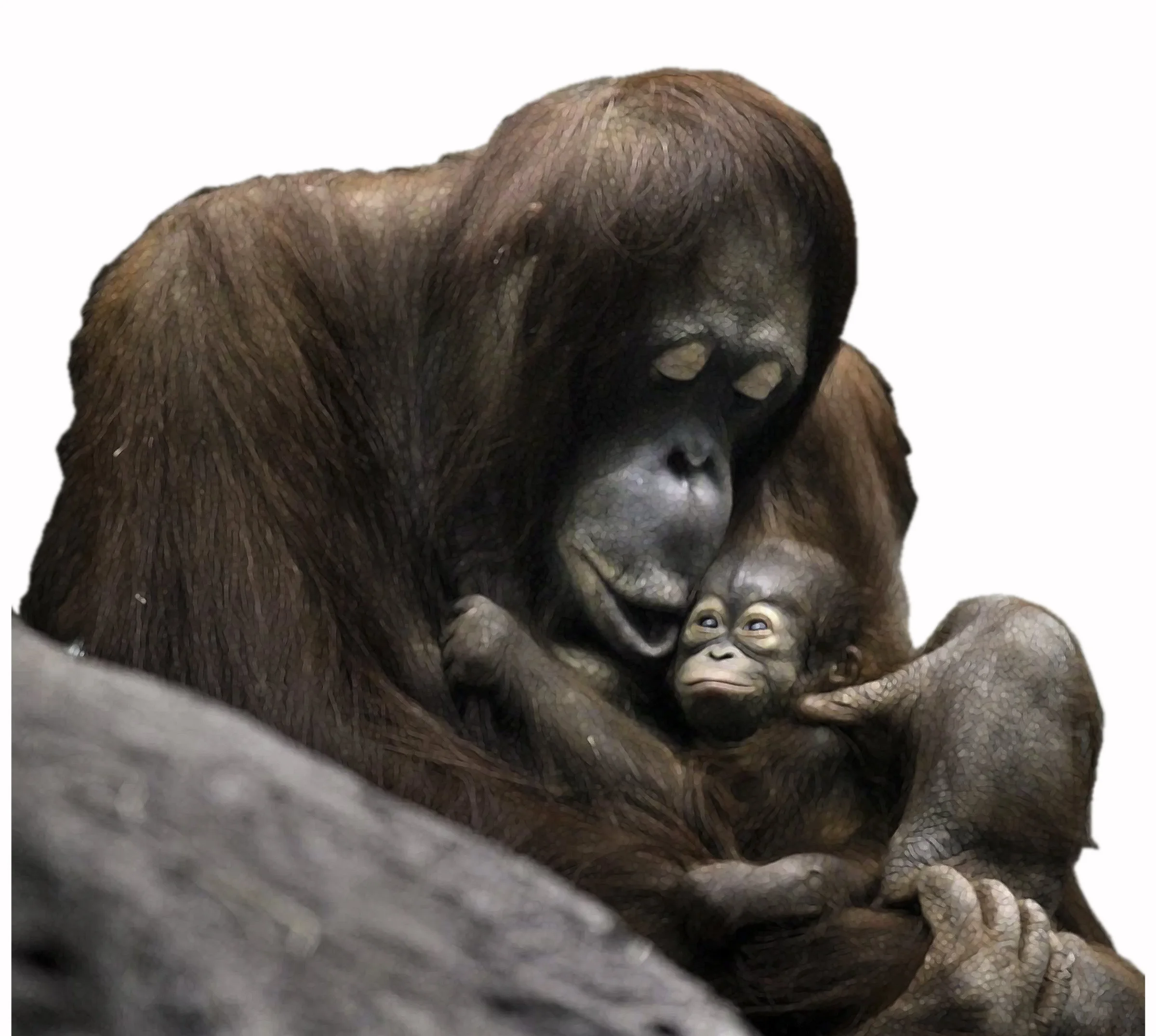 Razak and Auntie 1.jpg