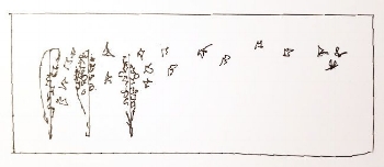 first sketch.jpg