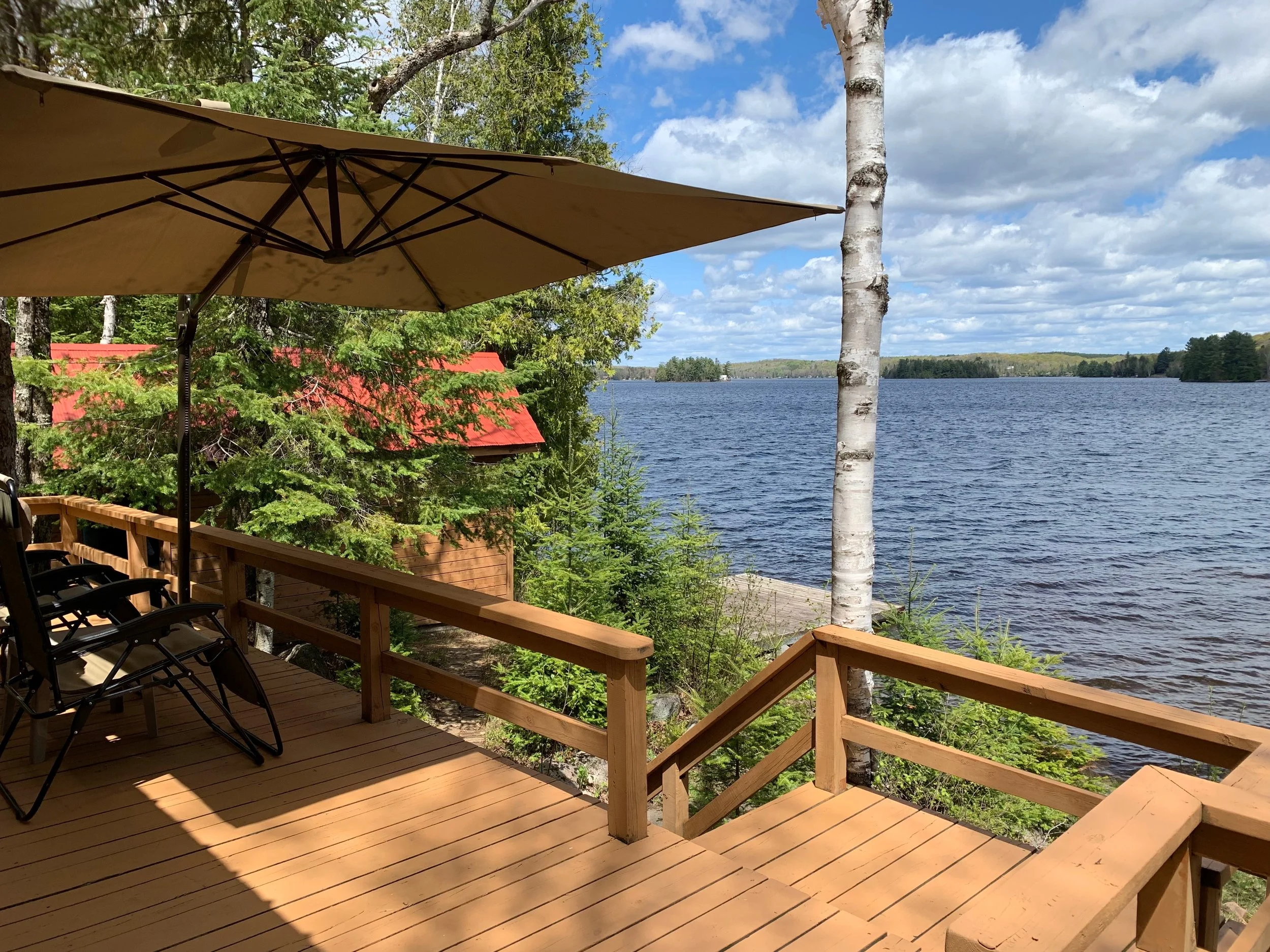 The Sharon White Team