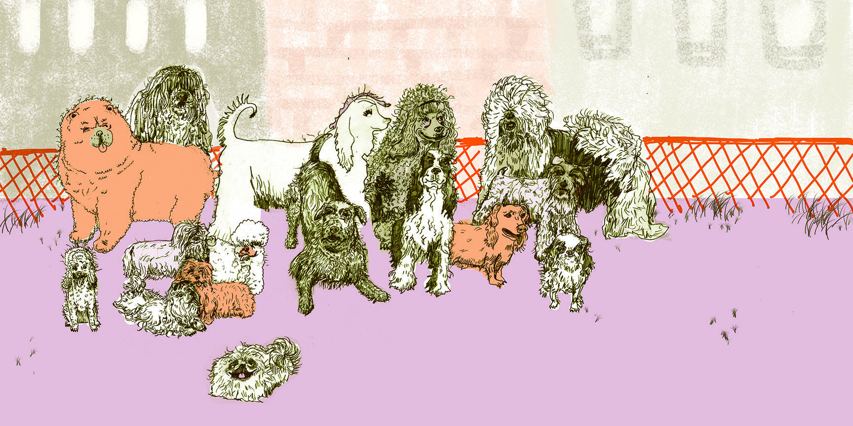 Dog Park