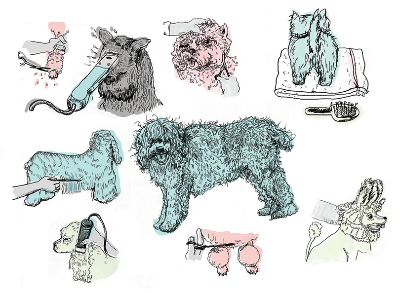Dog Salon