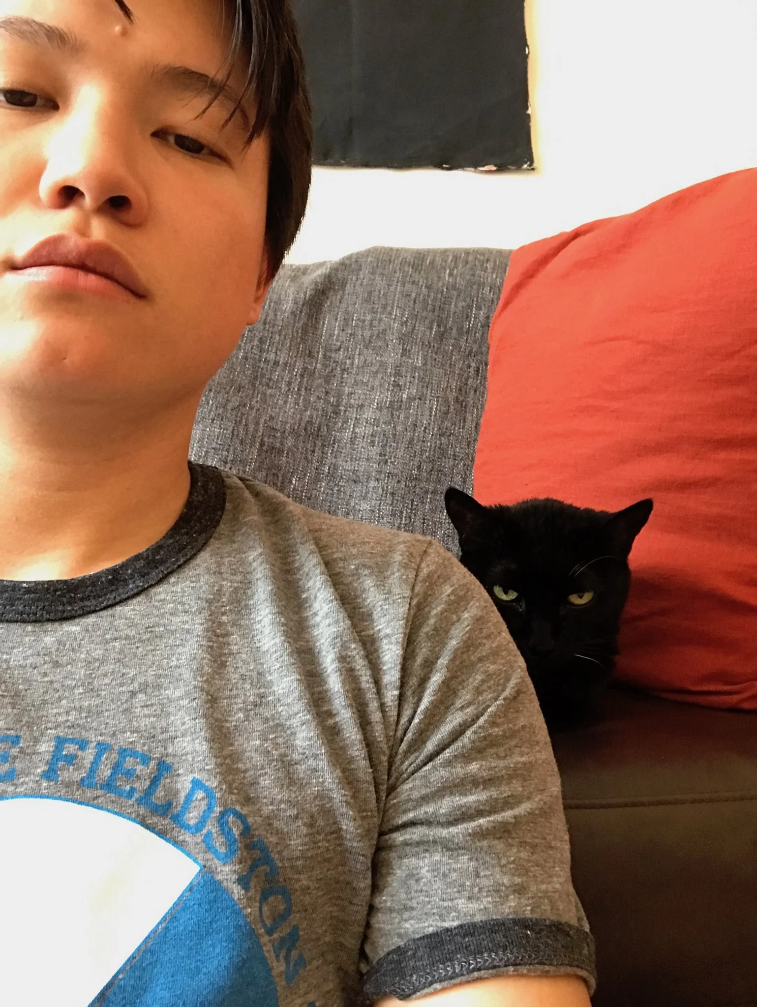 What "quirky personality-appropriate" social media account does Emmie Finckel follow?