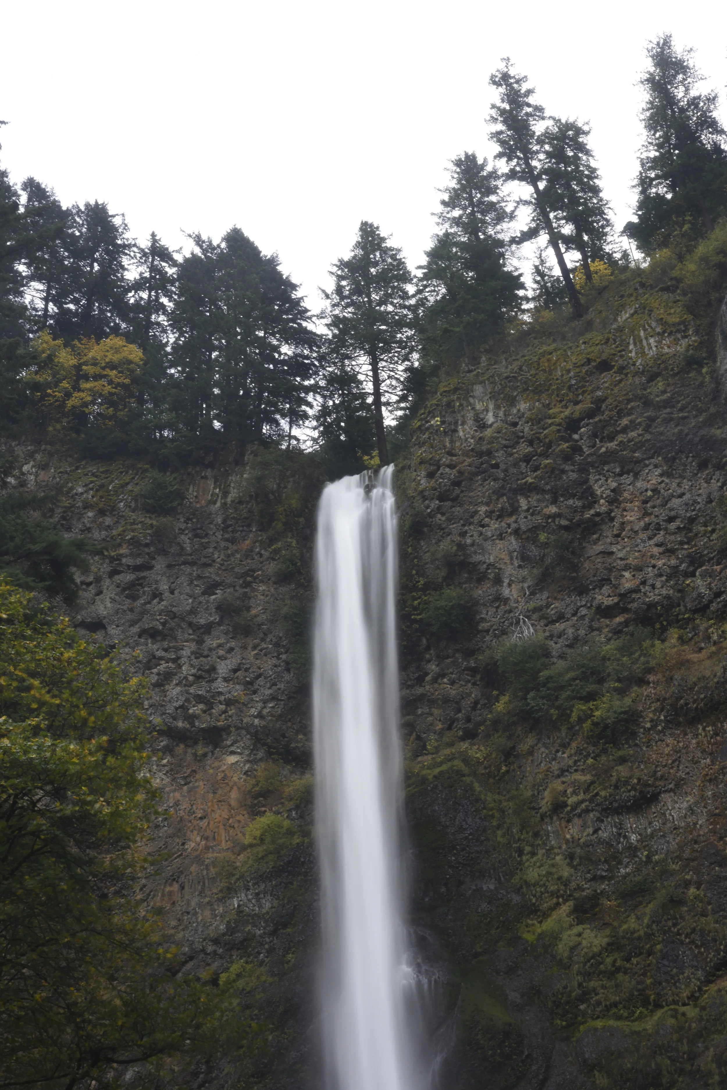 Multnomah Falls Top
