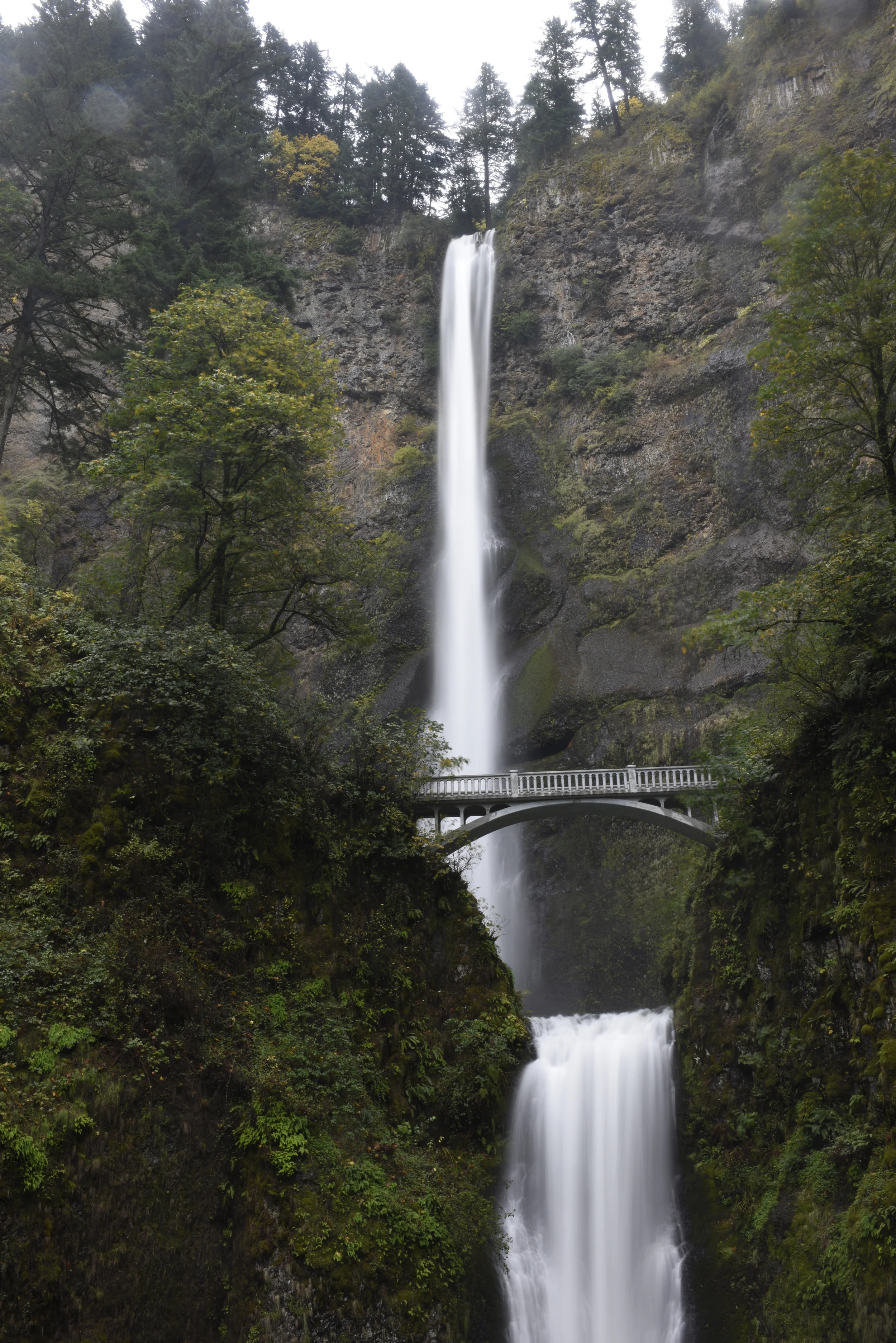 Multnomah Falls Full