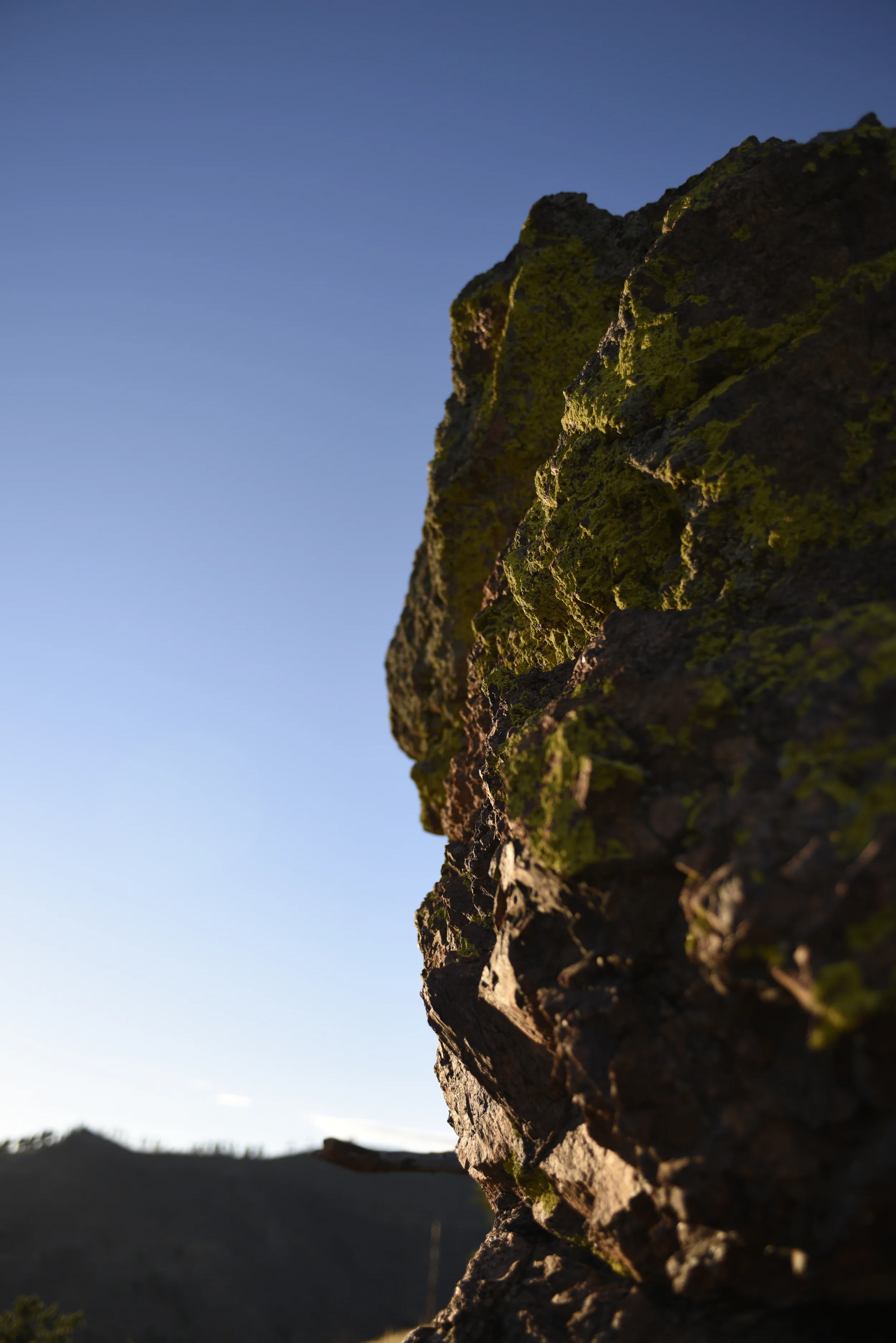 Random Lichen #CO-14-1
