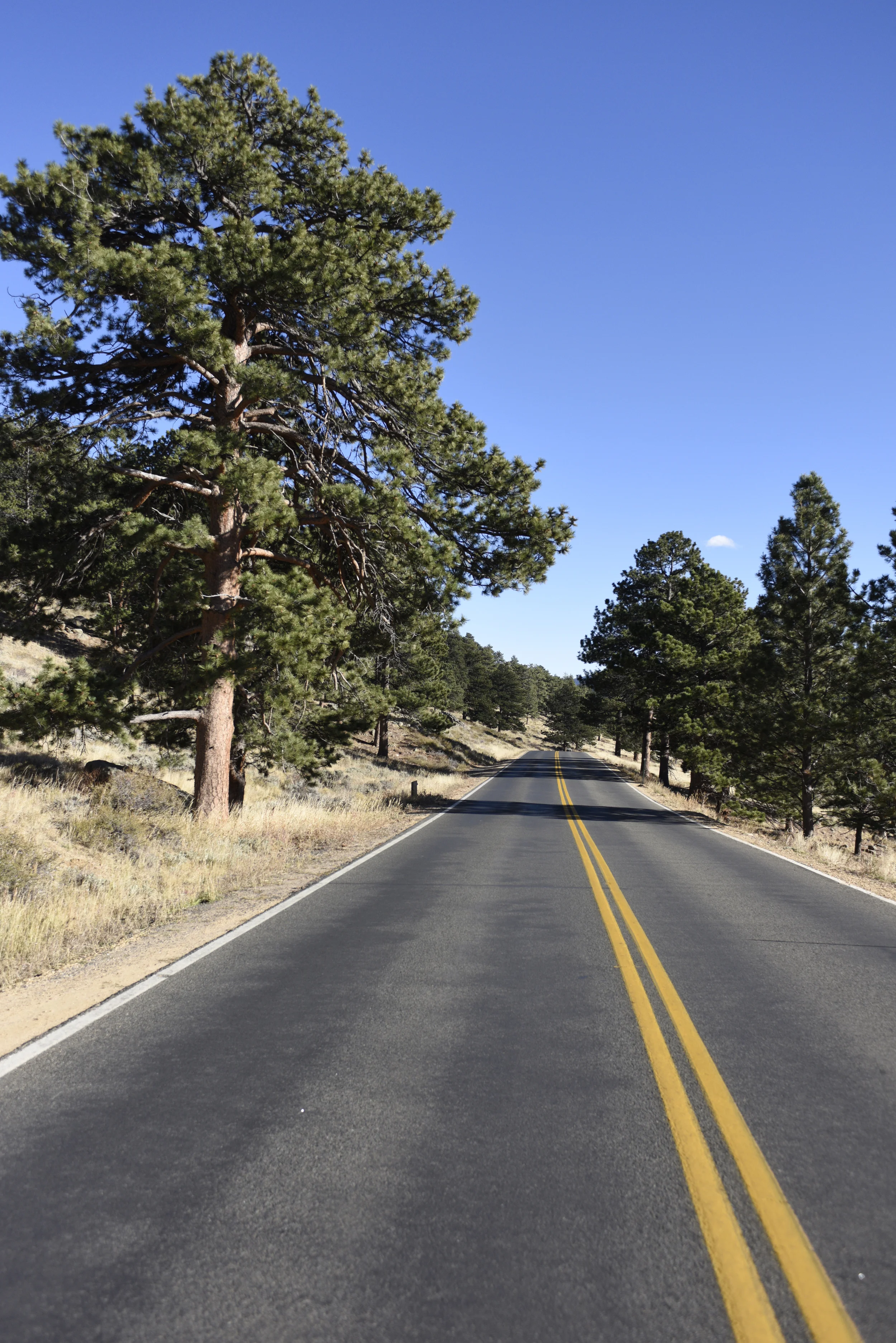 Bear Lake Rd.