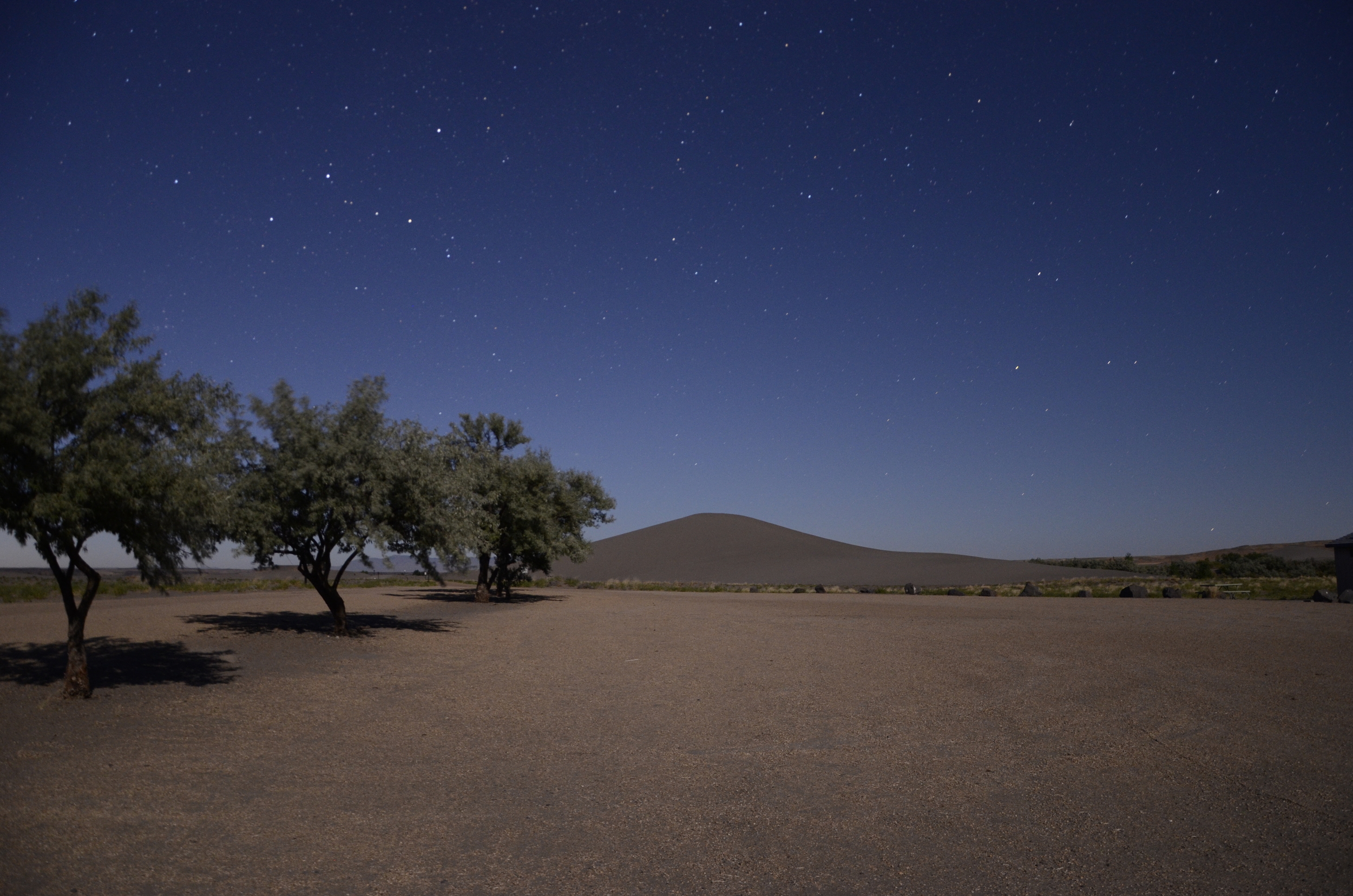 Bruneau Dunes I