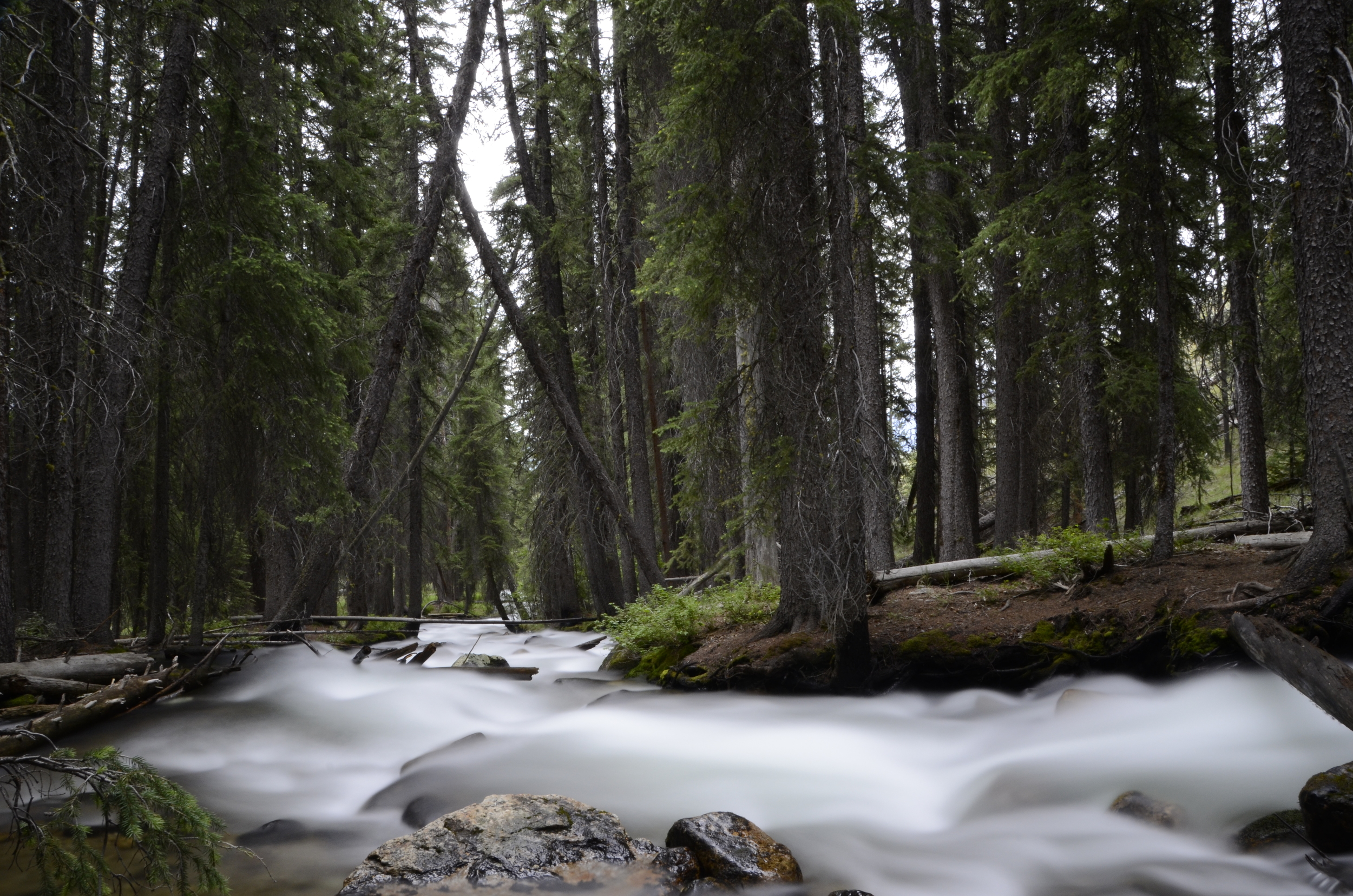 River Rocks I