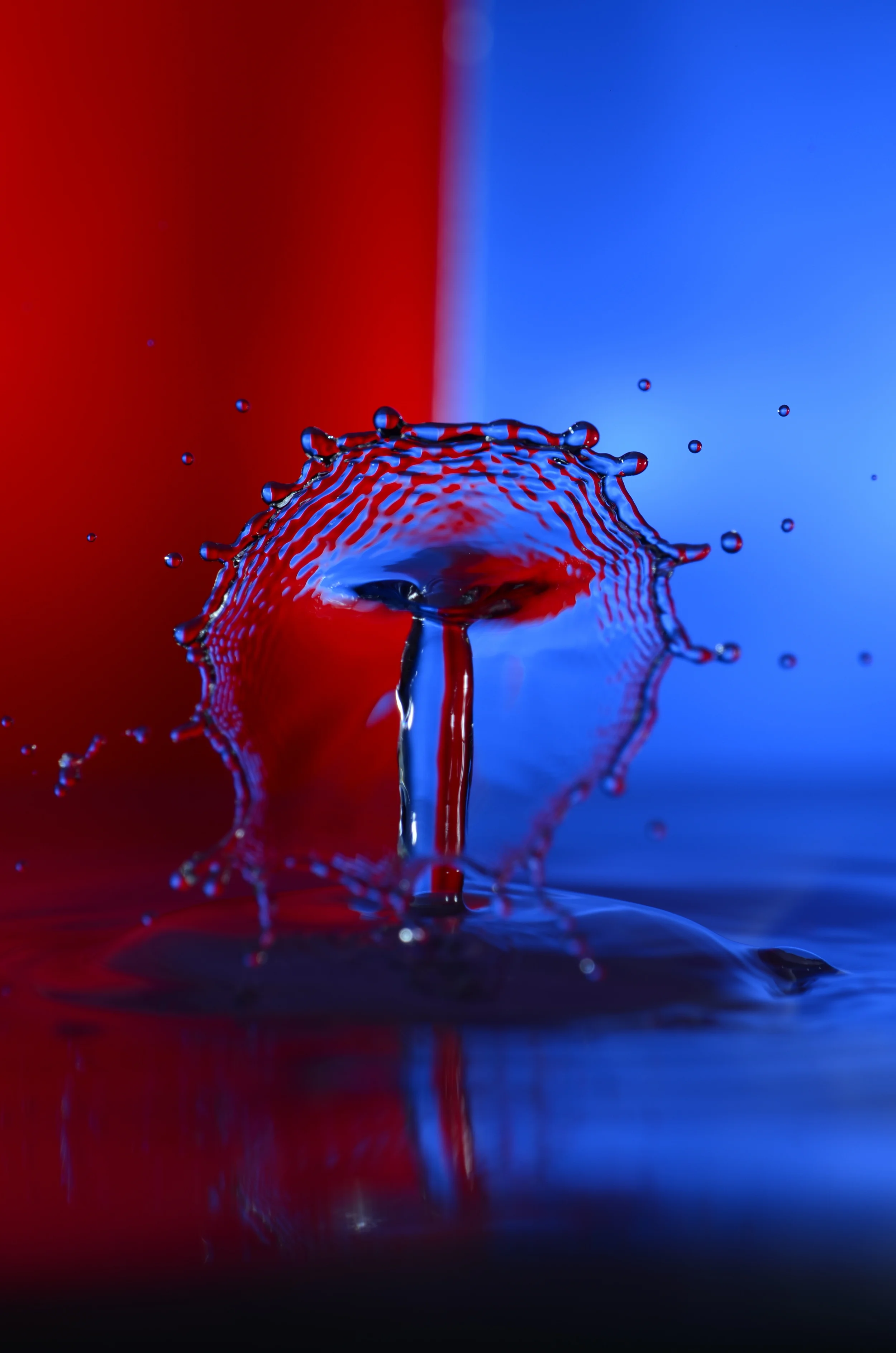Drop Collision XI