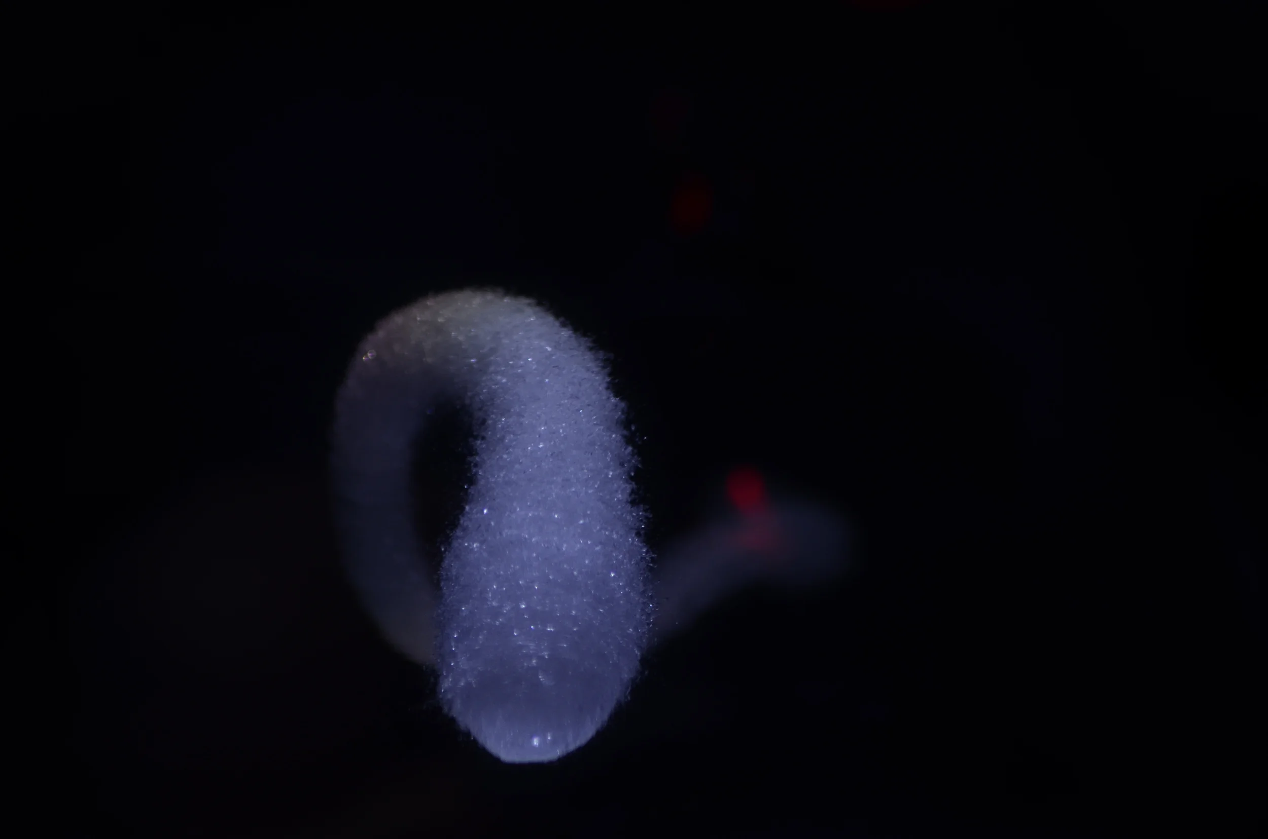 Prince Rupert's Drop