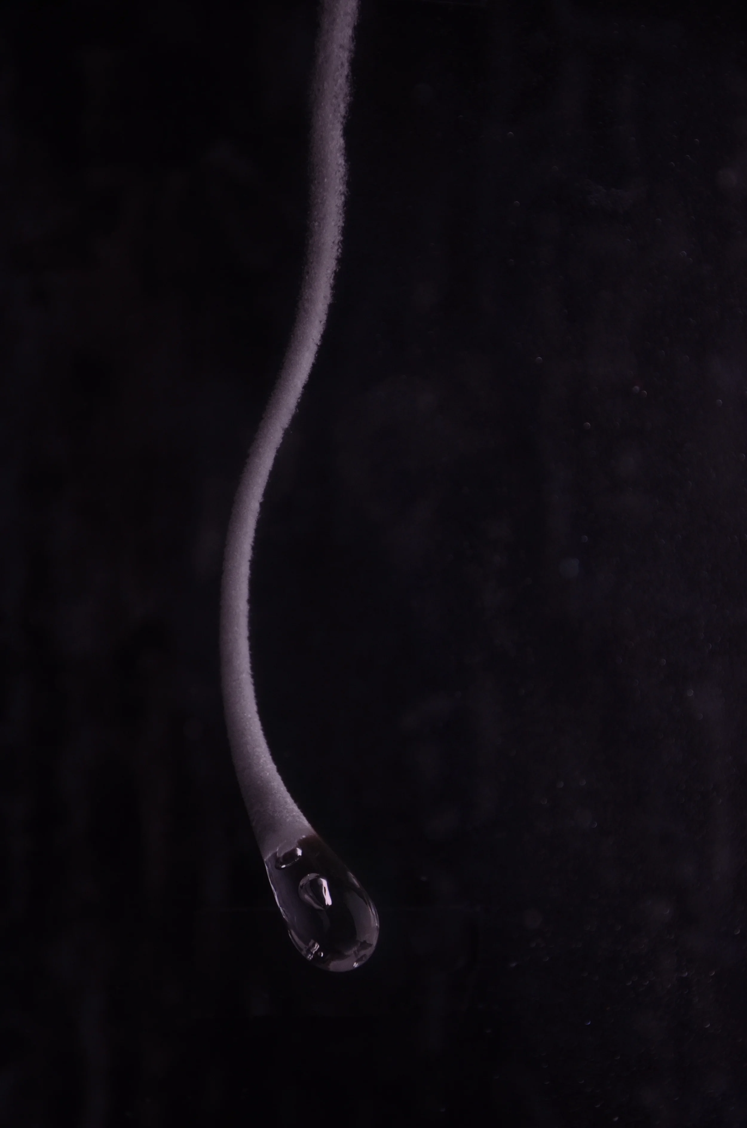 Prince Rupert's Drop After