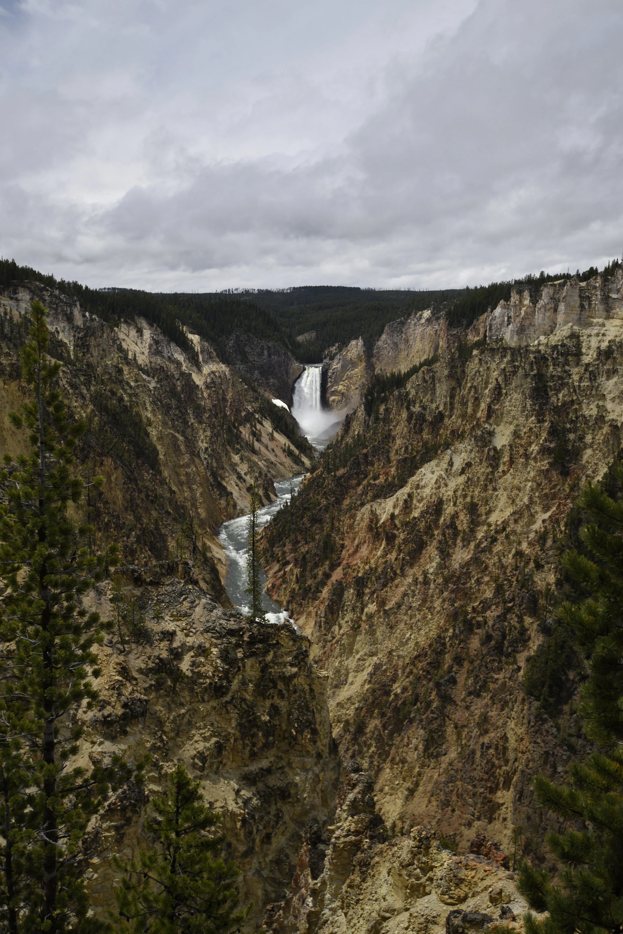 Grand Canyon of the Yellowstone II