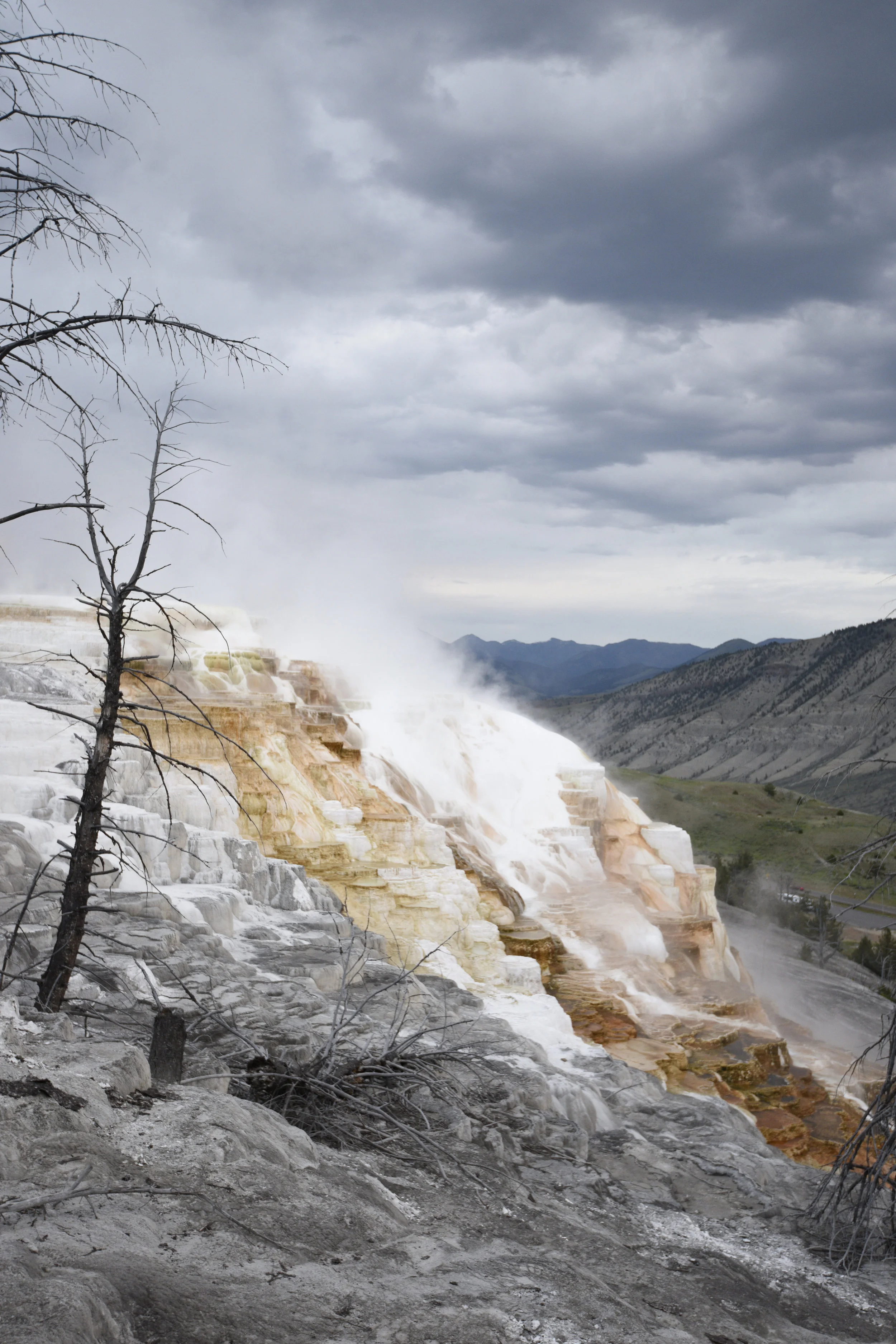 Mammoth Hot Springs IV