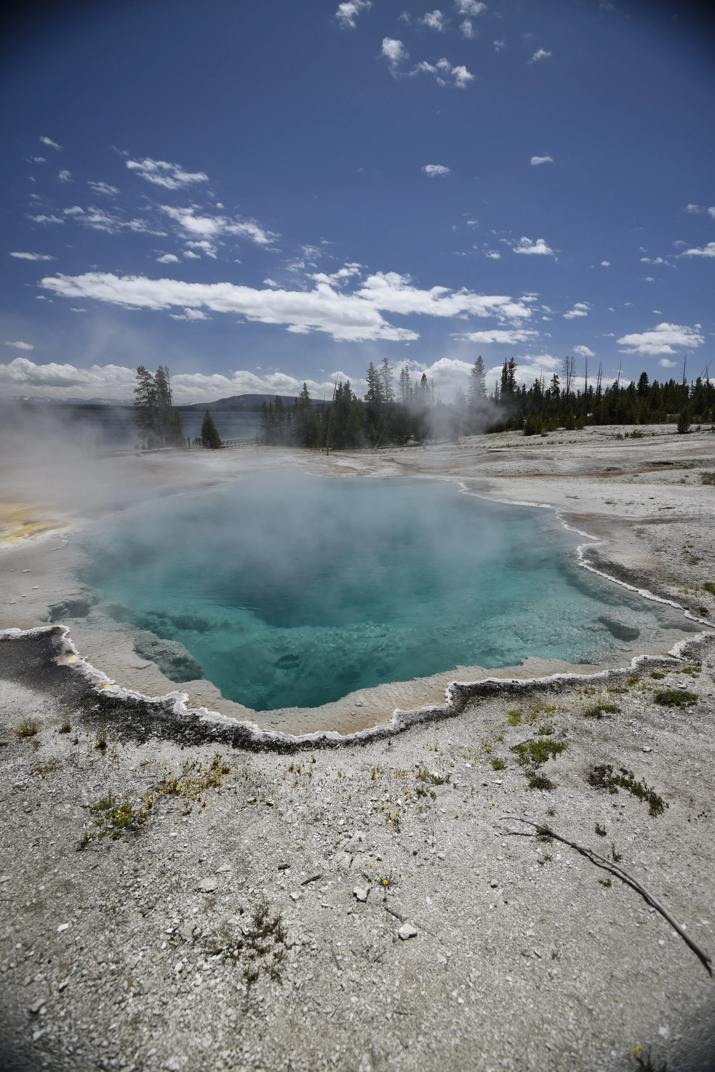 Black Pool I