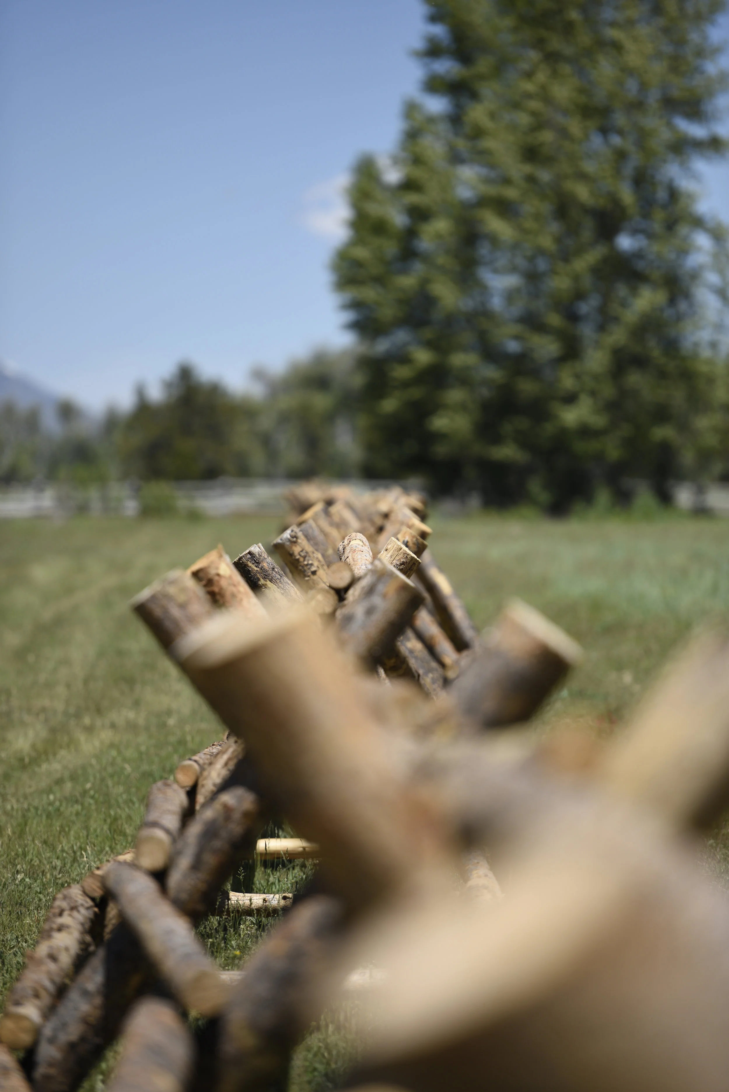 Fence on the Range