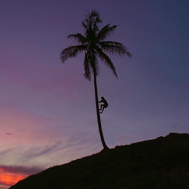 We are excited for two shows in paradise at the @fslanai with Cocoon founder @ciscoadler and rising country star  @nikkilane77 🐛🦋 📷 @forgetbrennan