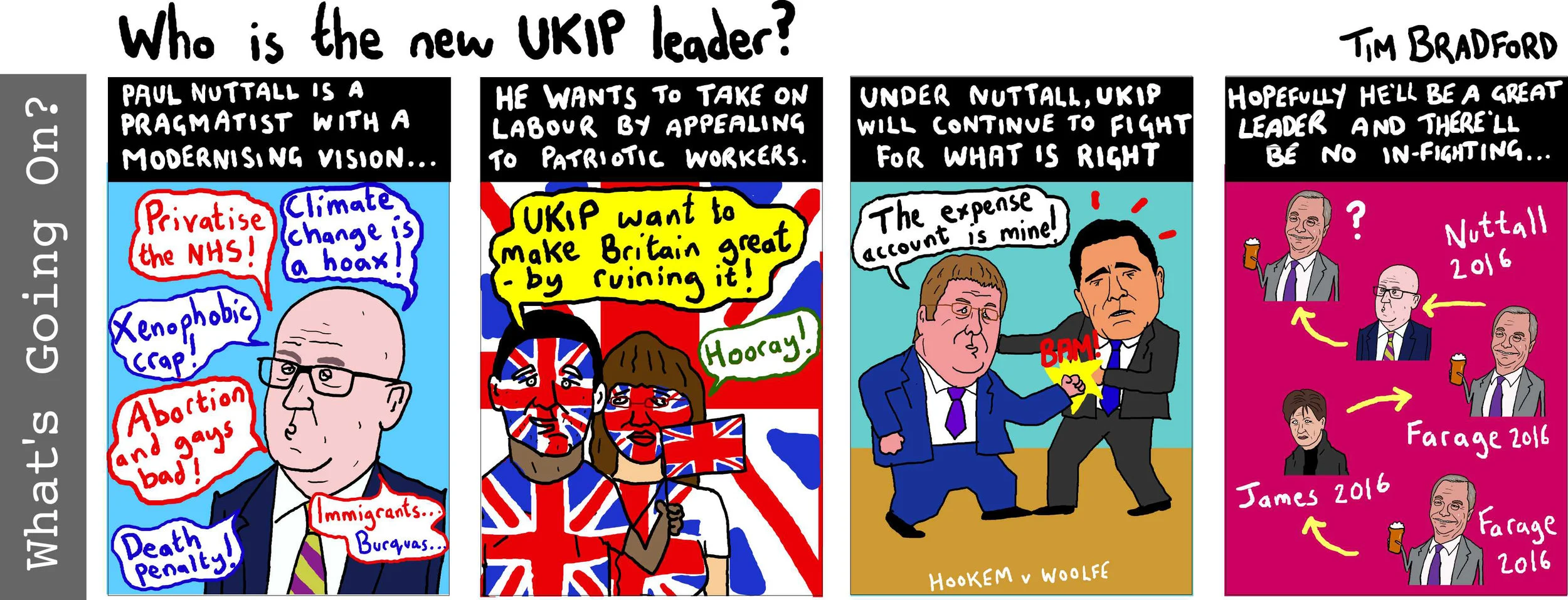 Who is the new UKIP leader? - 02/12/16