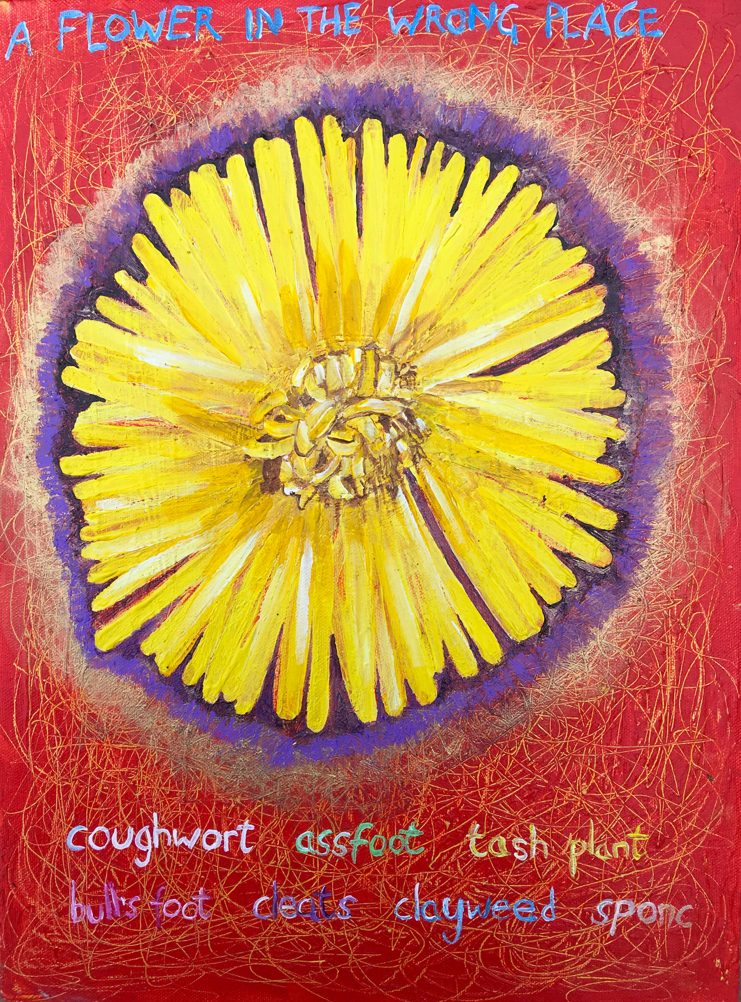 coltsfoot.jpg