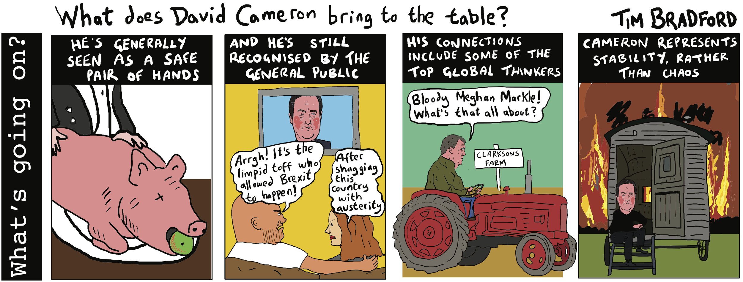 What does David Cameron bring to the table? - 20/11/2023