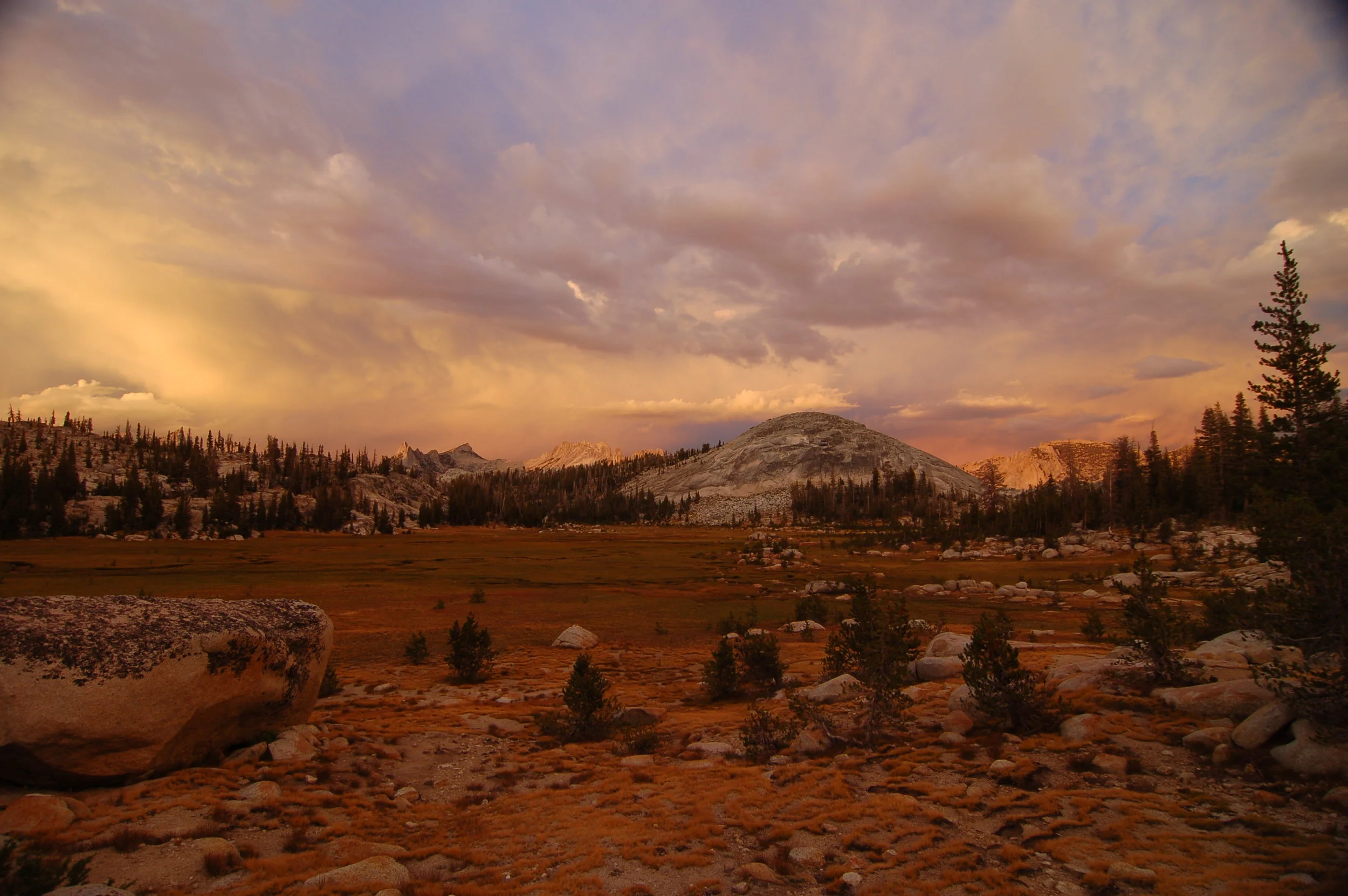 DSC_0277.jpg