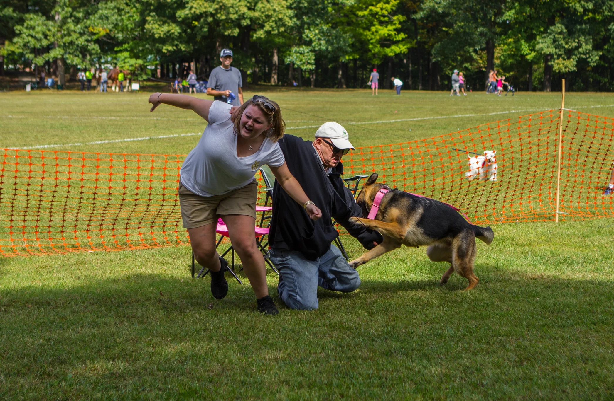 A trained K9 engages an aggressor in a Personal Protection Dog Demonstration in Winston-Salem. This person was friendly and passive to me and the K9 before his attempted attack that the dog prevented.