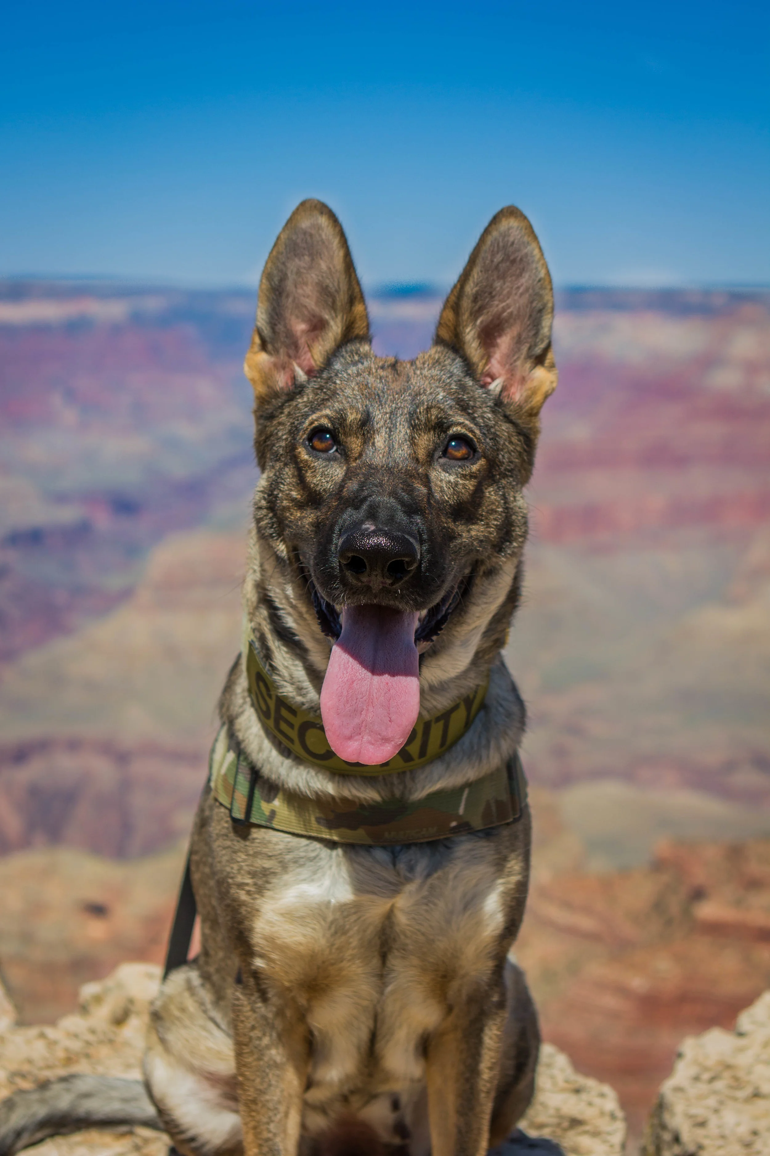 GrandCanyon-6.jpg