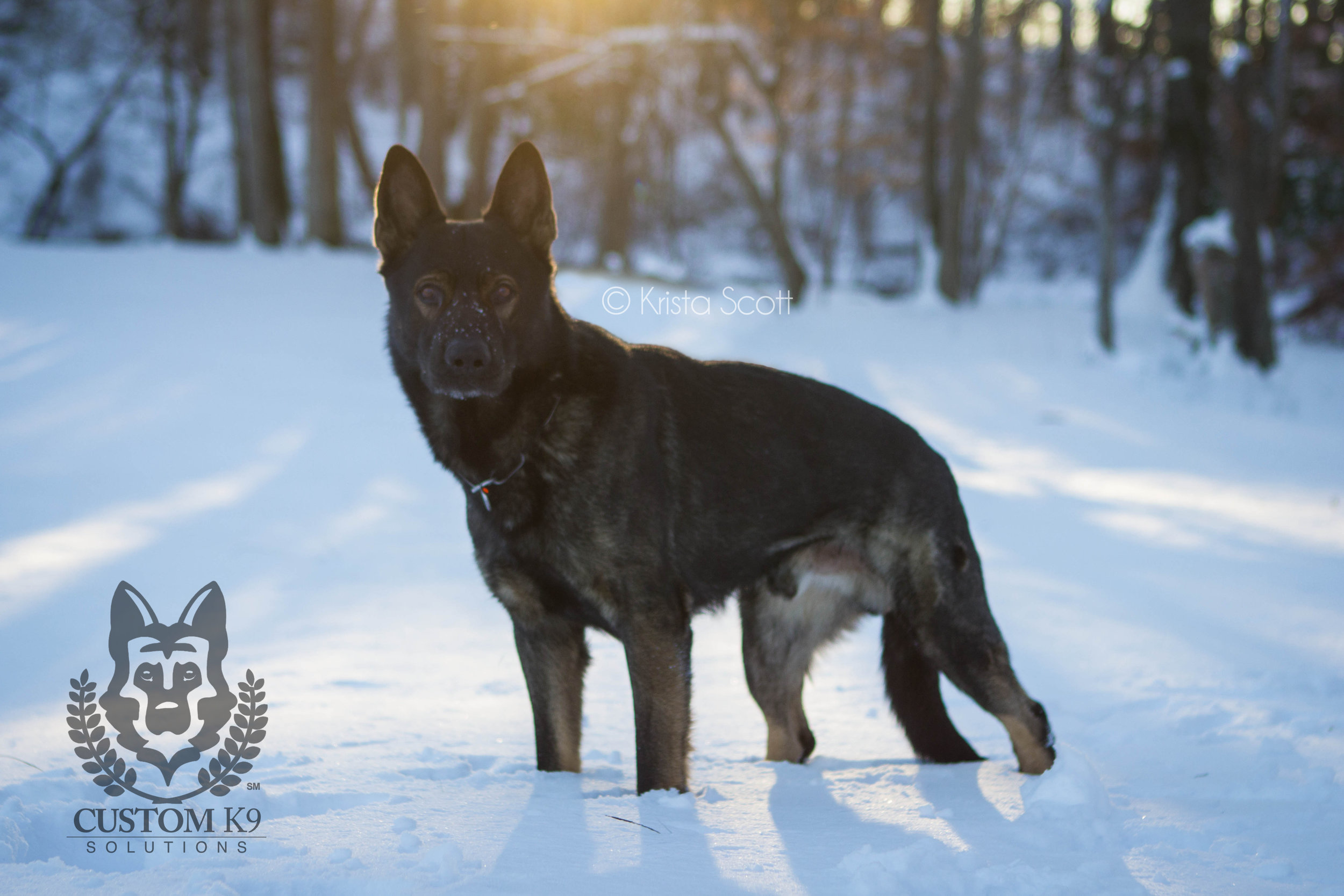 Ayk Snow-24.jpg