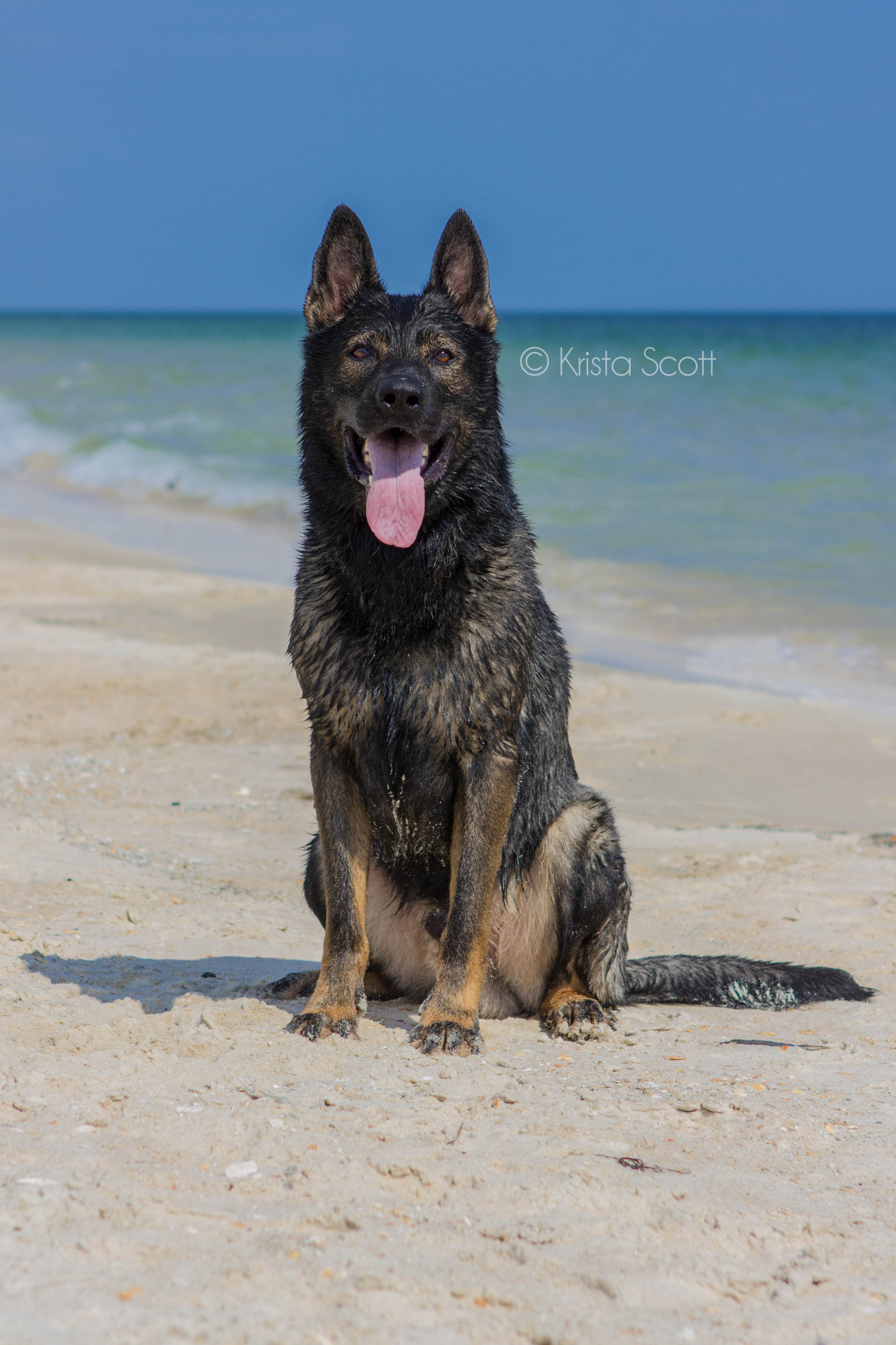 BeachAYK-18WM.jpg