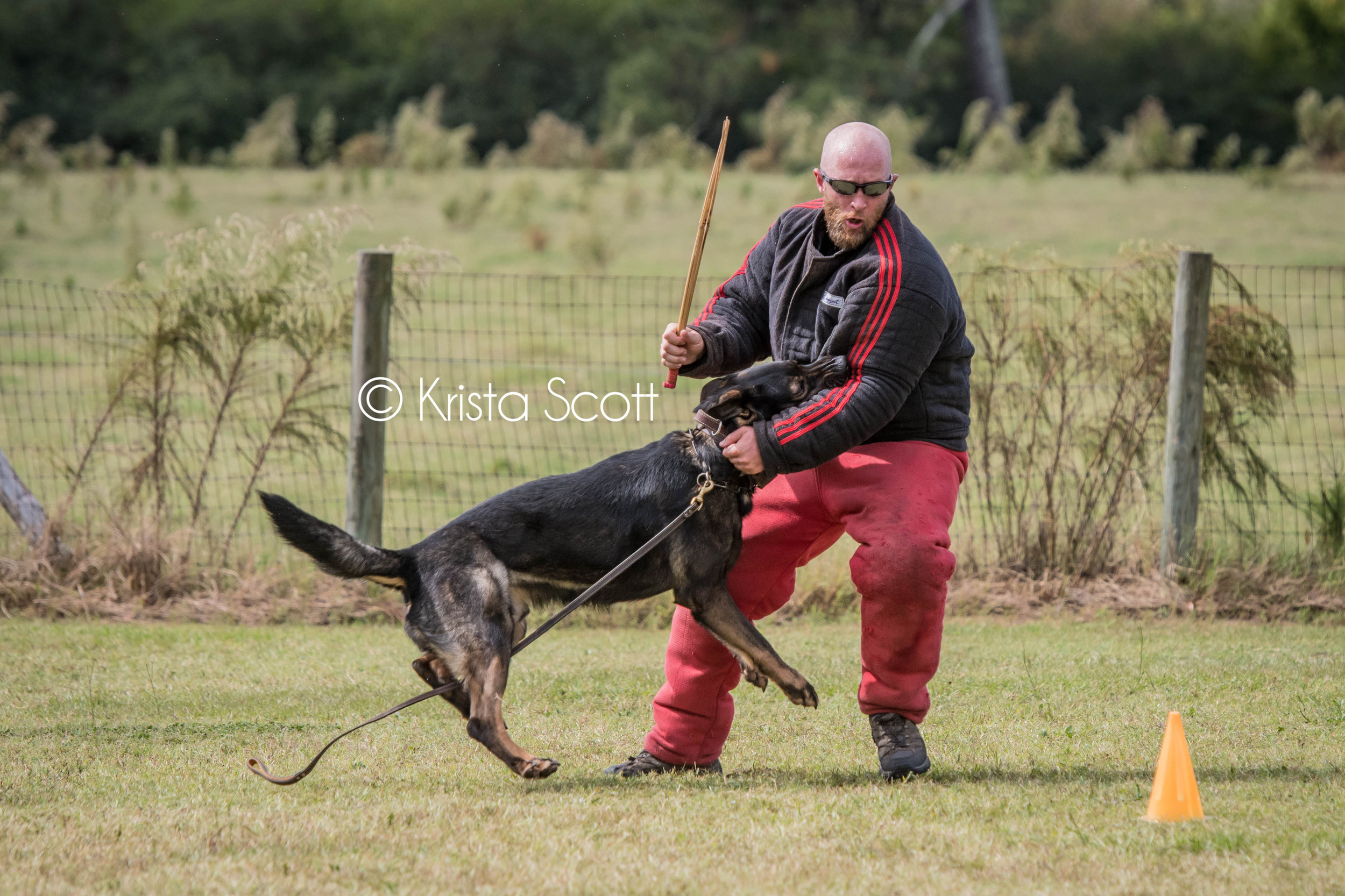 JASD PSA Trial Photos-163.jpg