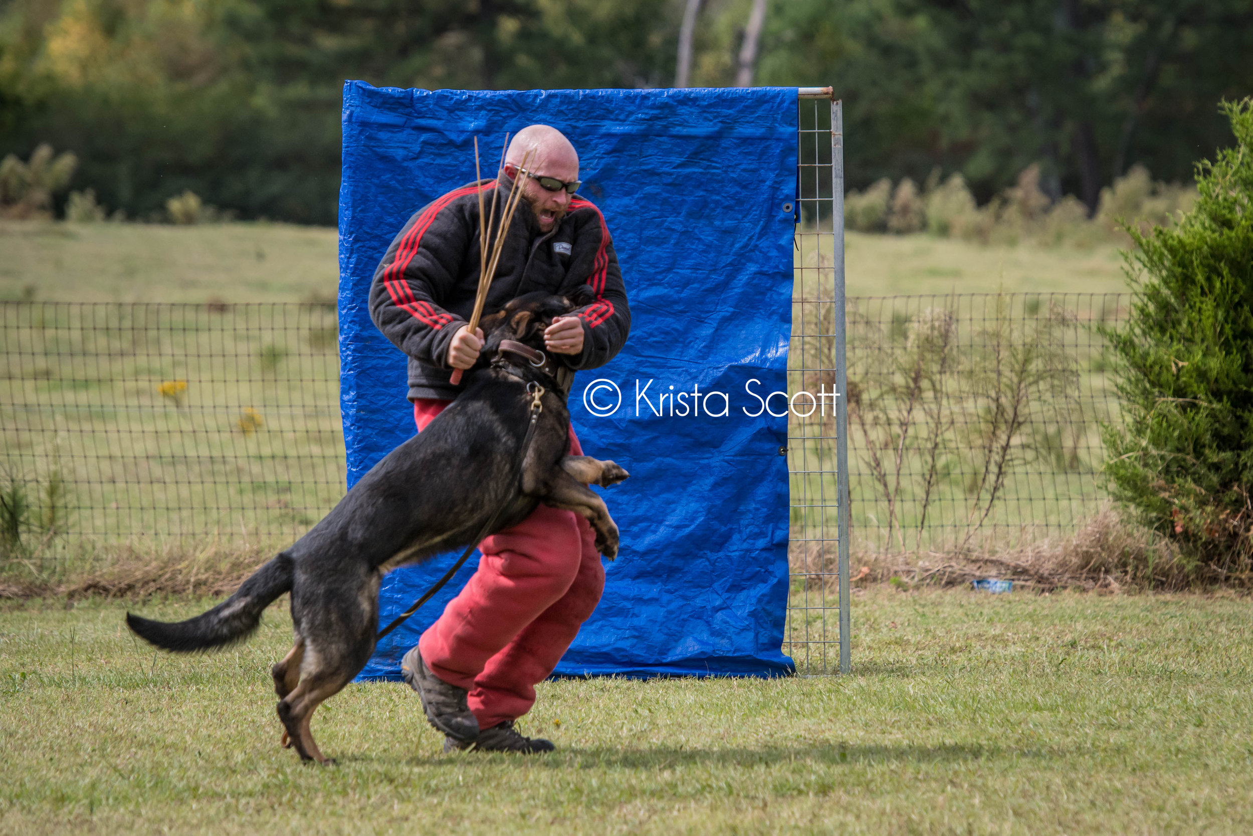 JASD PSA Trial Photos-169.jpg
