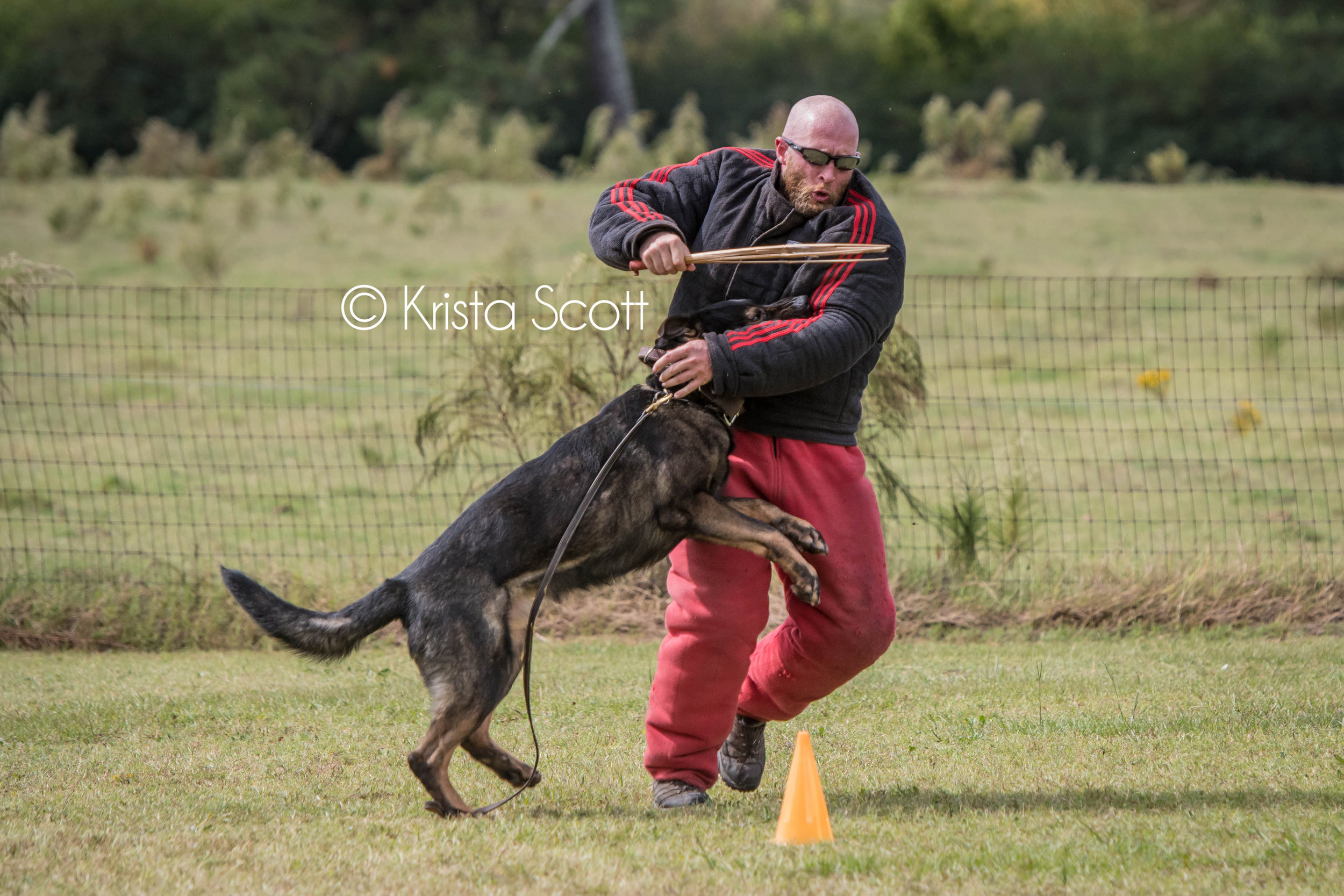 JASD PSA Trial Photos-166.jpg