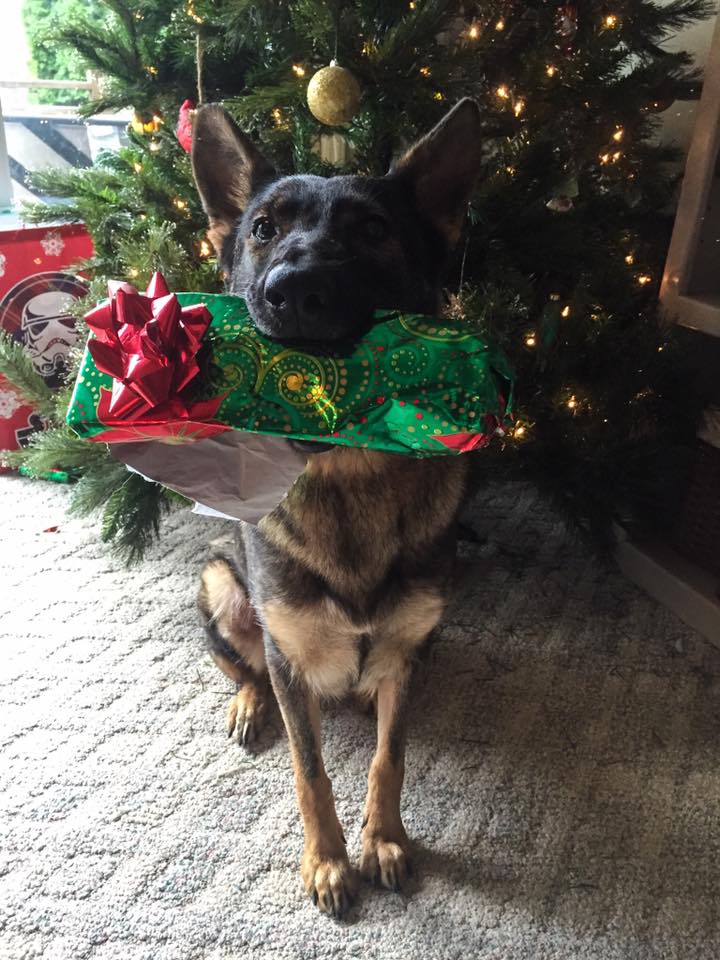 Karma and her Christmas Gift.