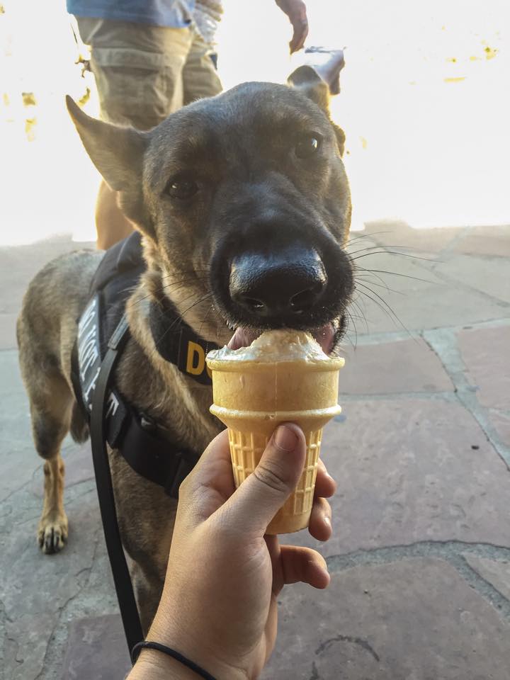 Karma eating ice cream at the Grand Canyon.