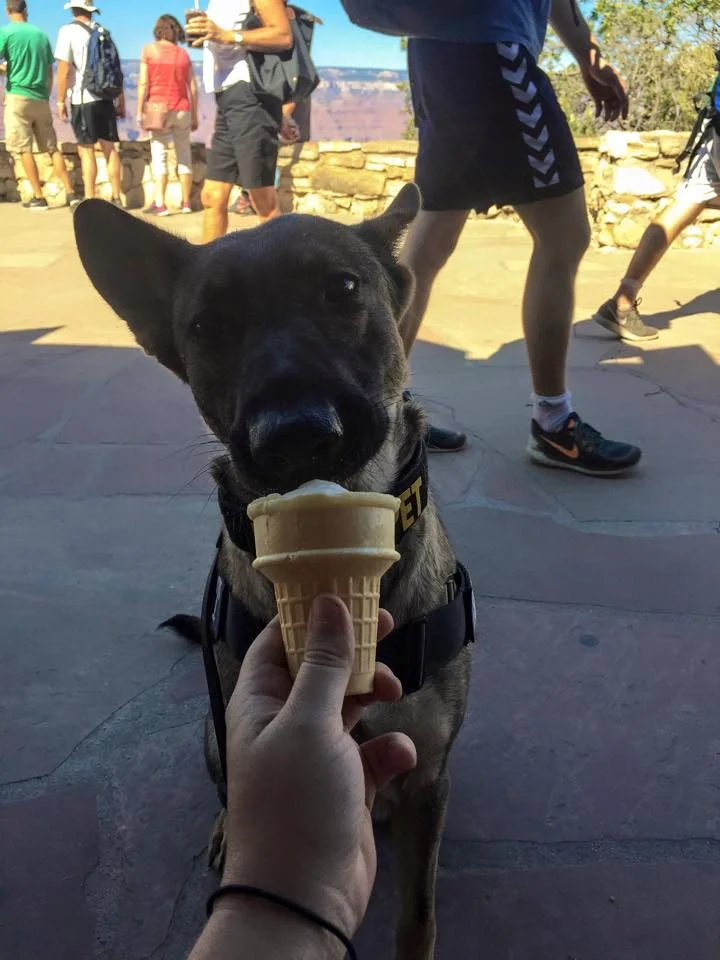 Karma eating ice cream at the Grand Canyon.
