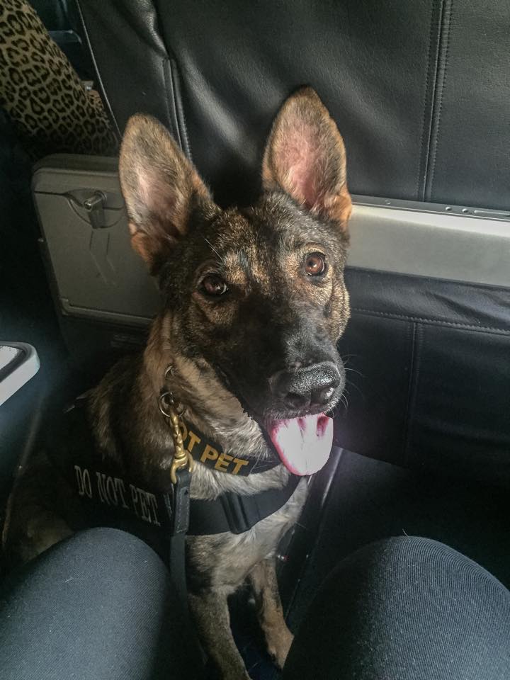 Karma flying with me on a commercial flight.