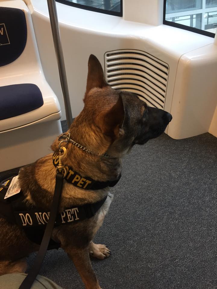 Karma with me on a plane train.