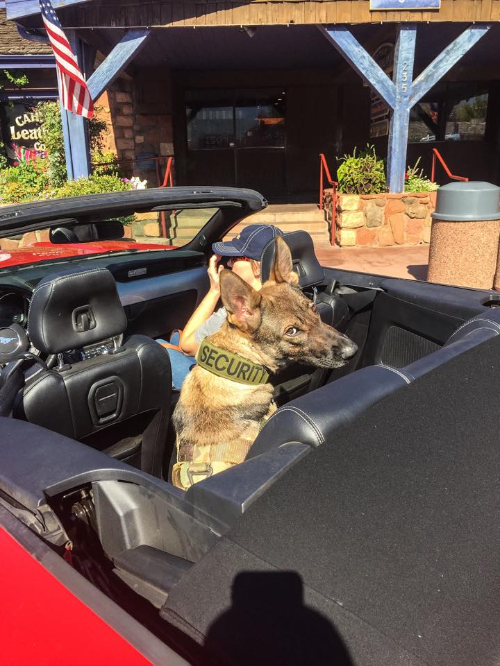 Karma waiting on me in the convertible in Sedona AZ.